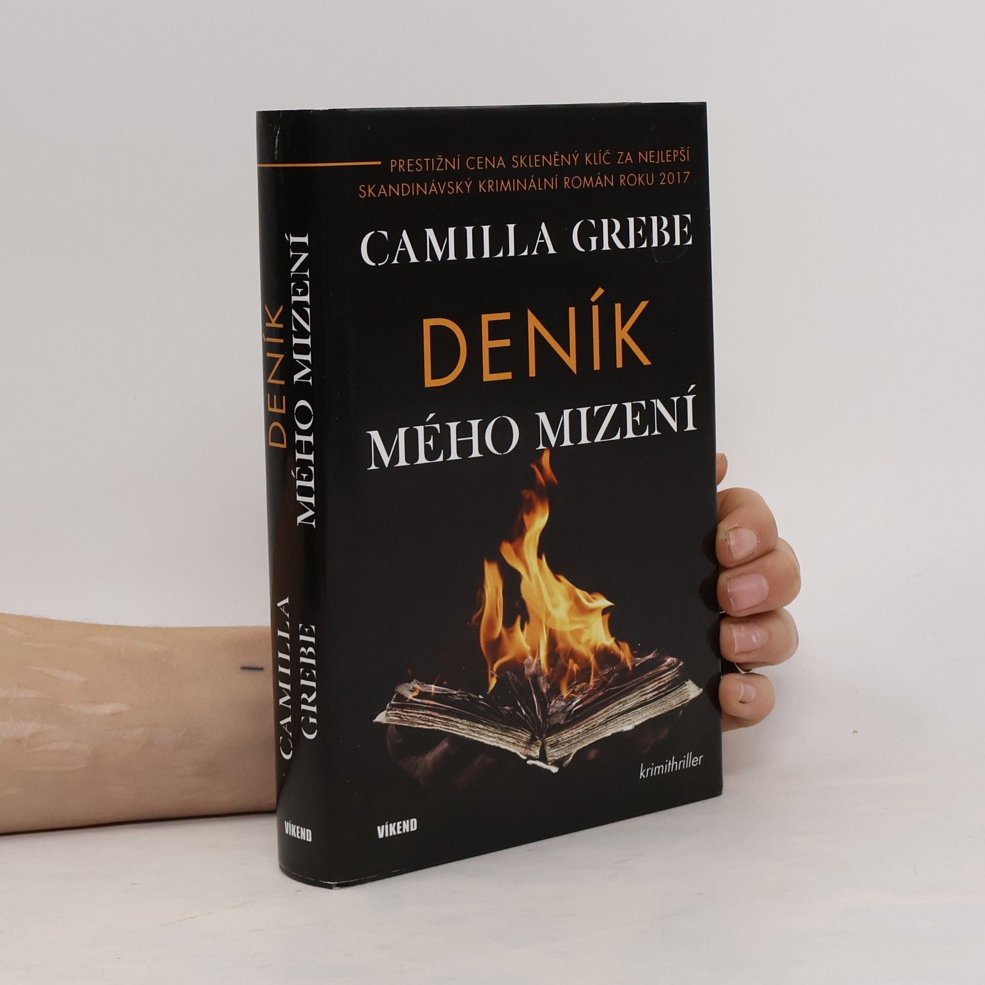 Camilla Grebe Deník mého mizení