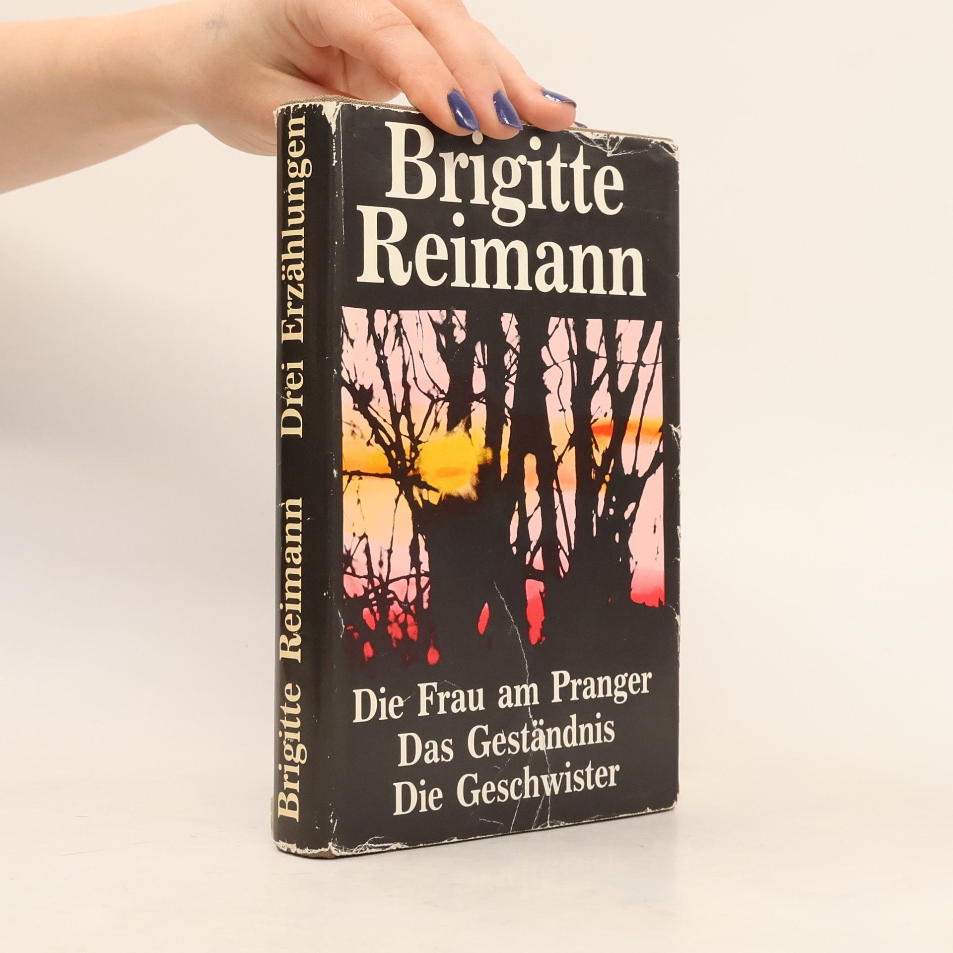 Brigitte Reimann Die Frau am Pranger