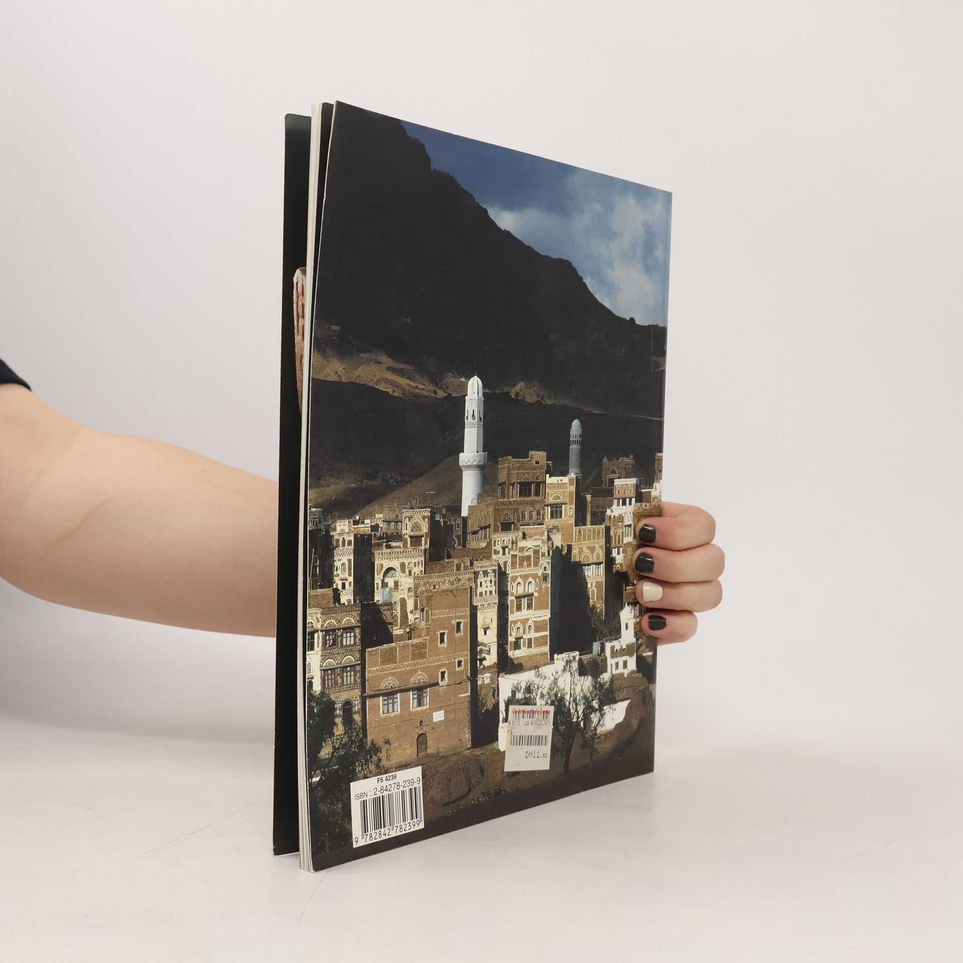 Kolektiv autorů Yemen. Le pays de la reine de Saba