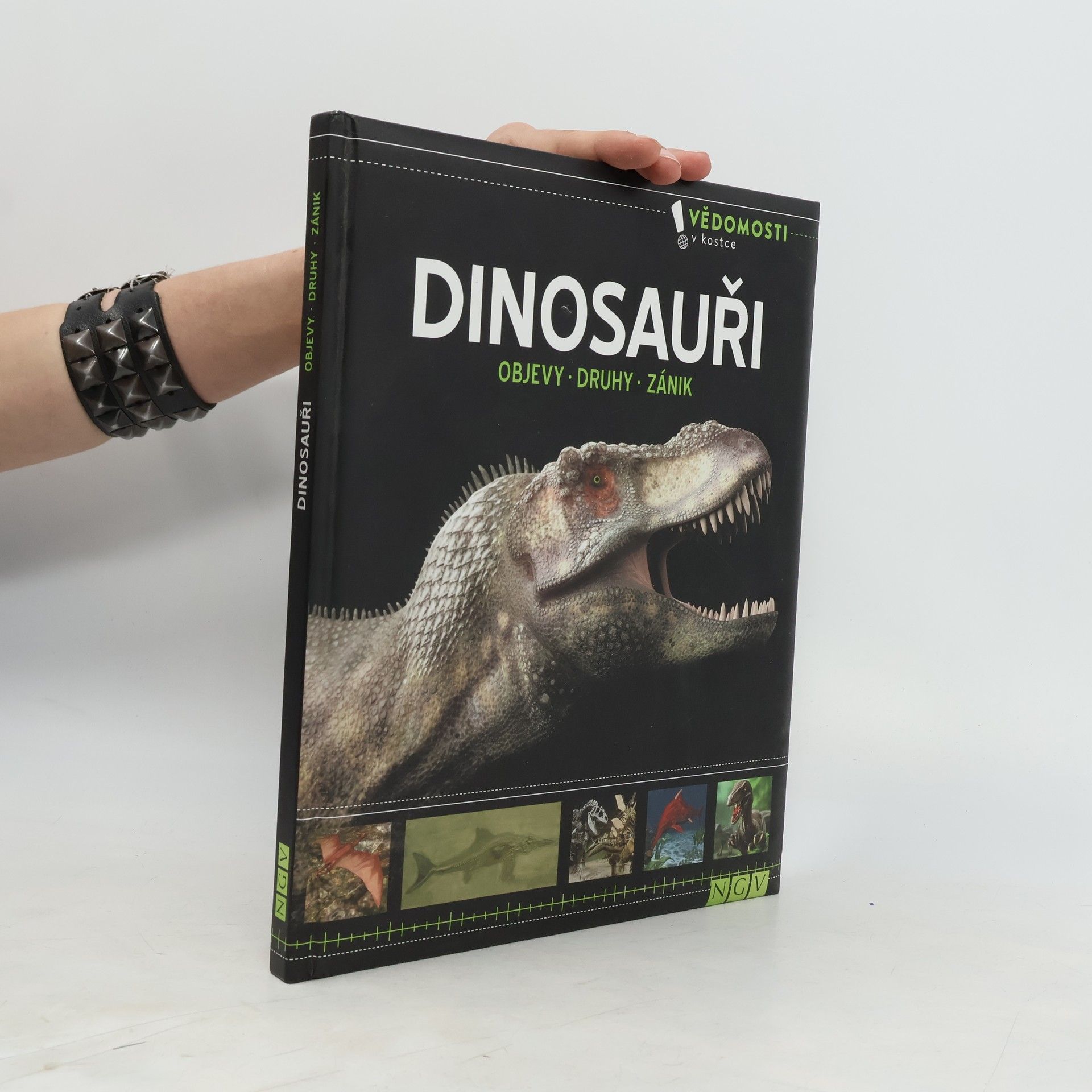 Kolektiv autorů Dinosauři