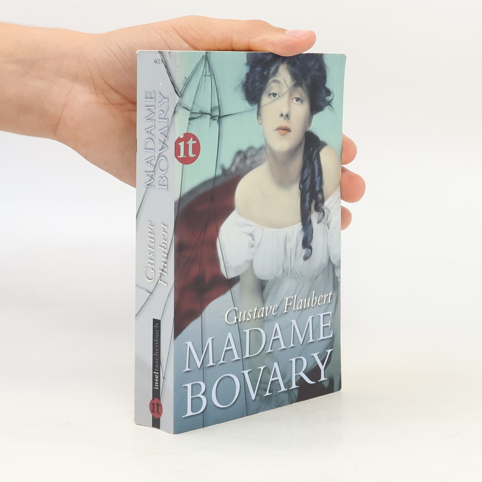Gustave Flaubert Madame Bovary
