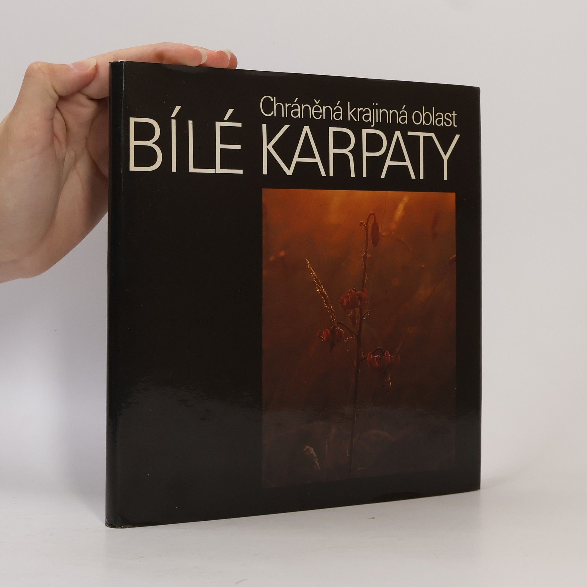 Vít Trachtulec Chráněná krajinná oblast Bílé Karpaty