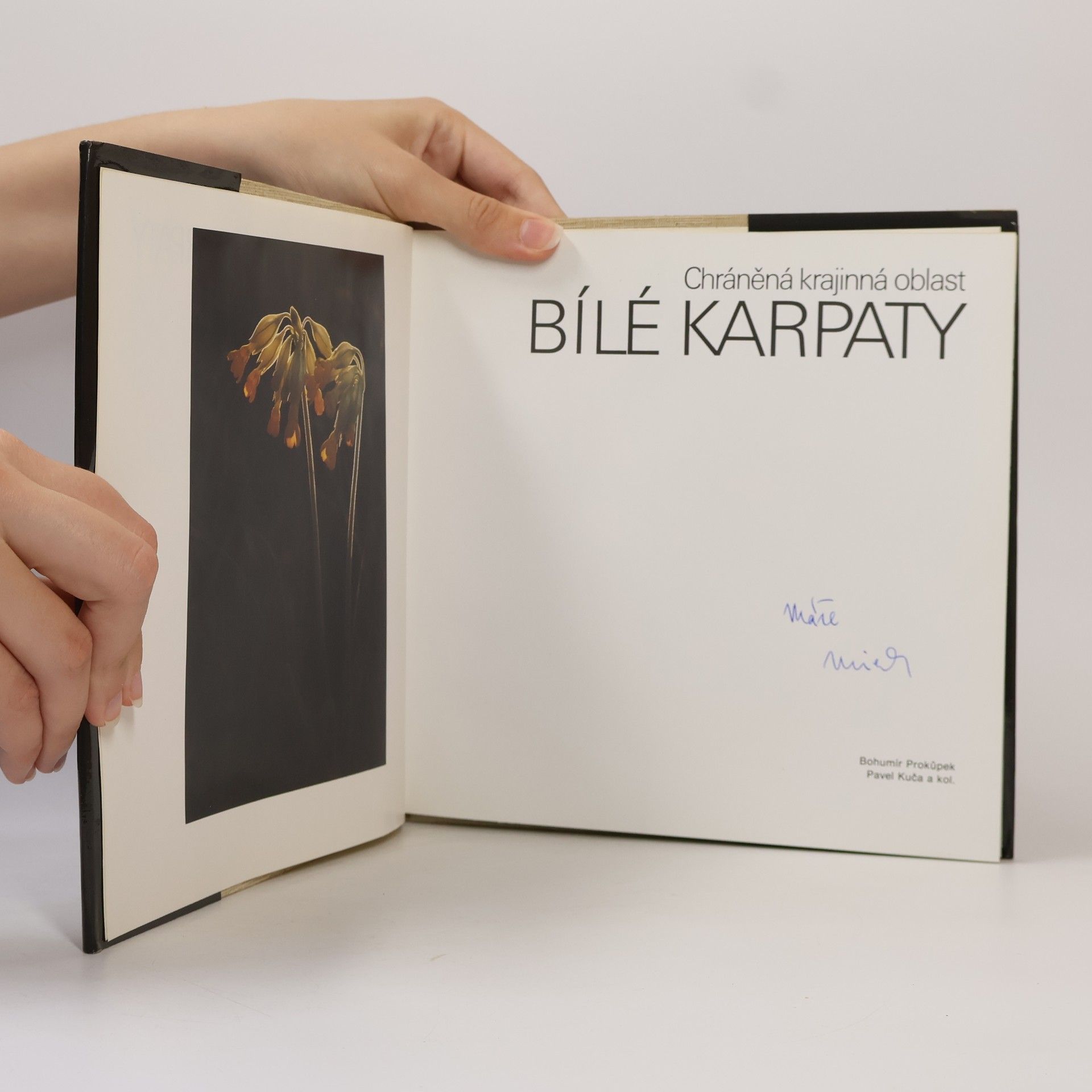 Vít Trachtulec Chráněná krajinná oblast Bílé Karpaty