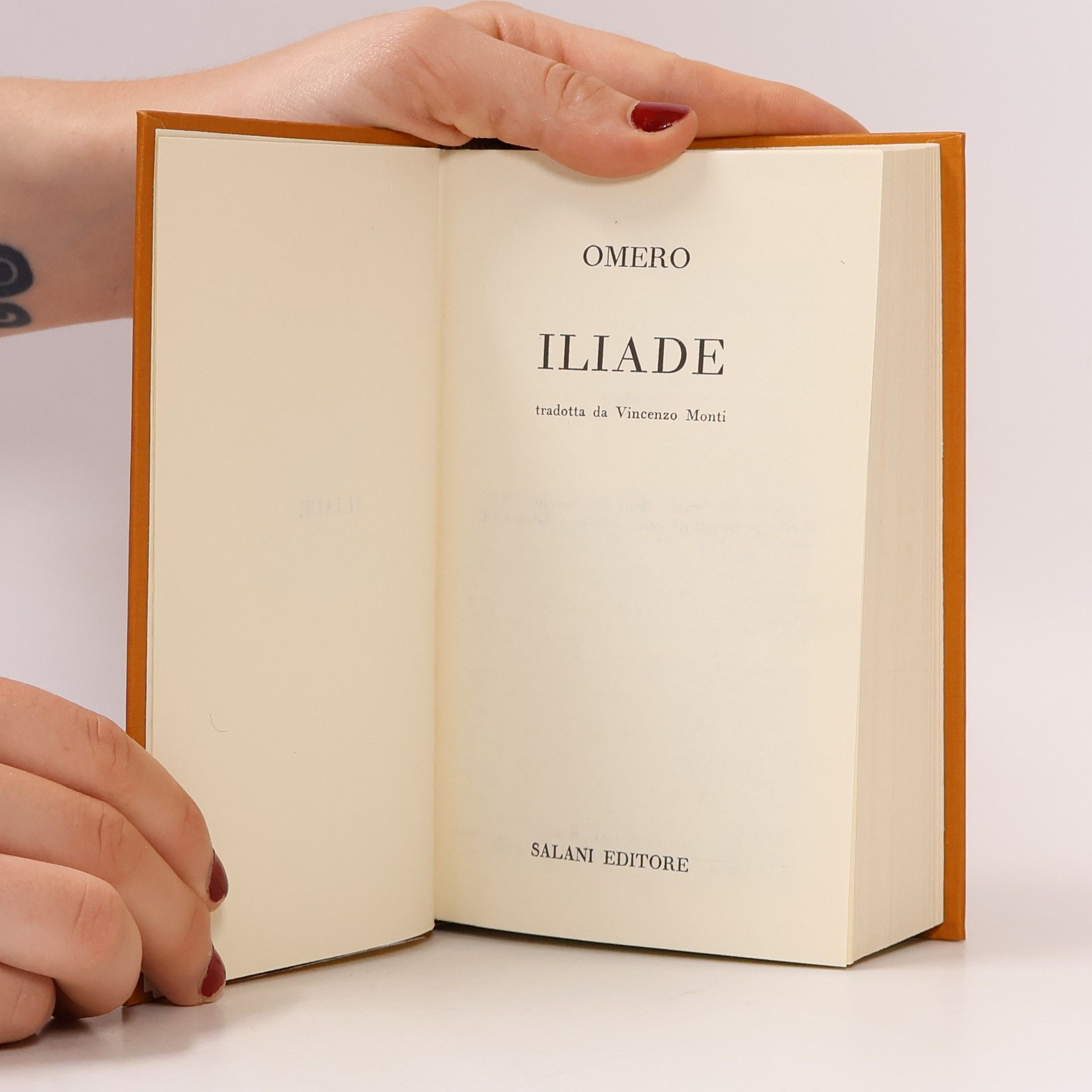 Homér Iliade