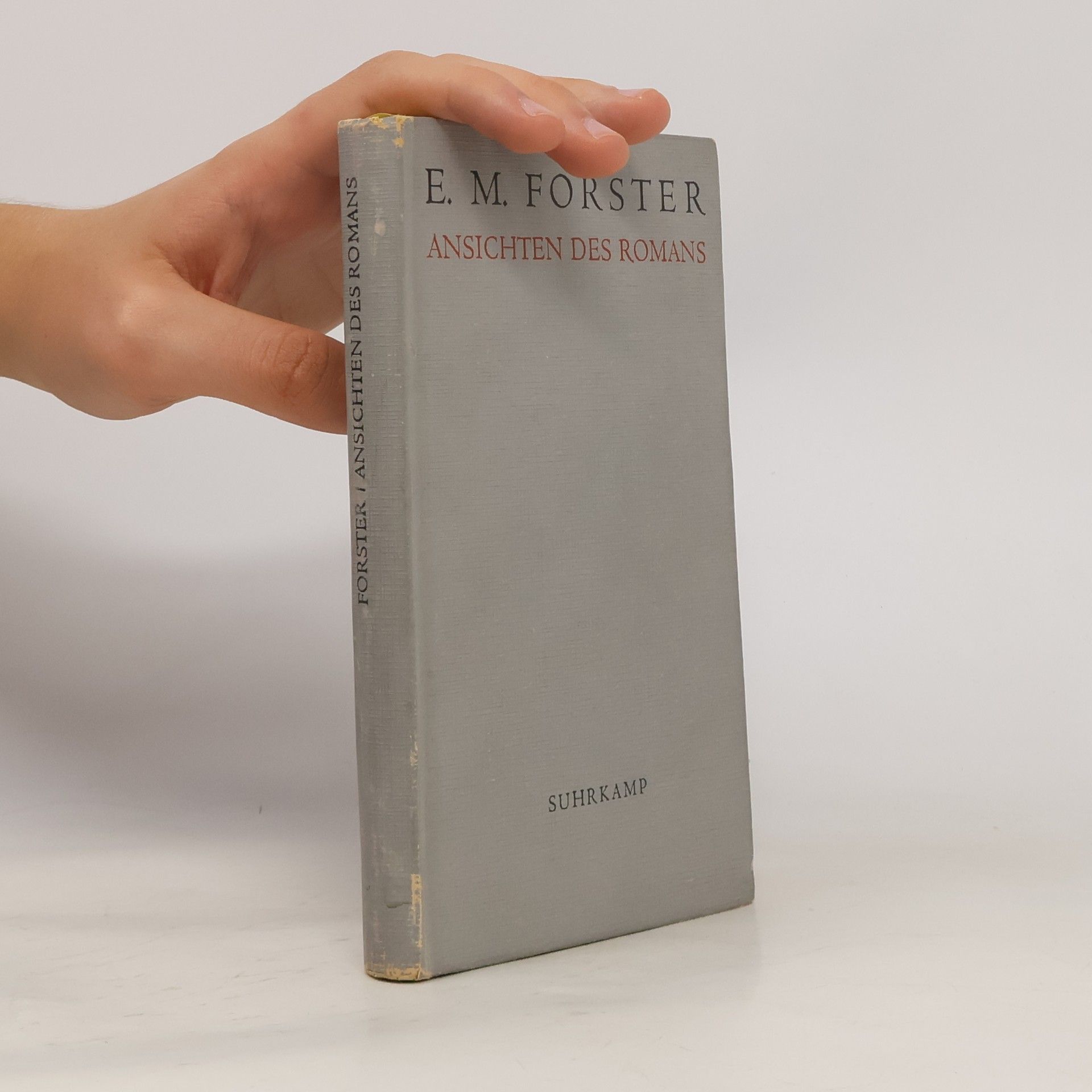 E. M. Forster Ansichten des Romans