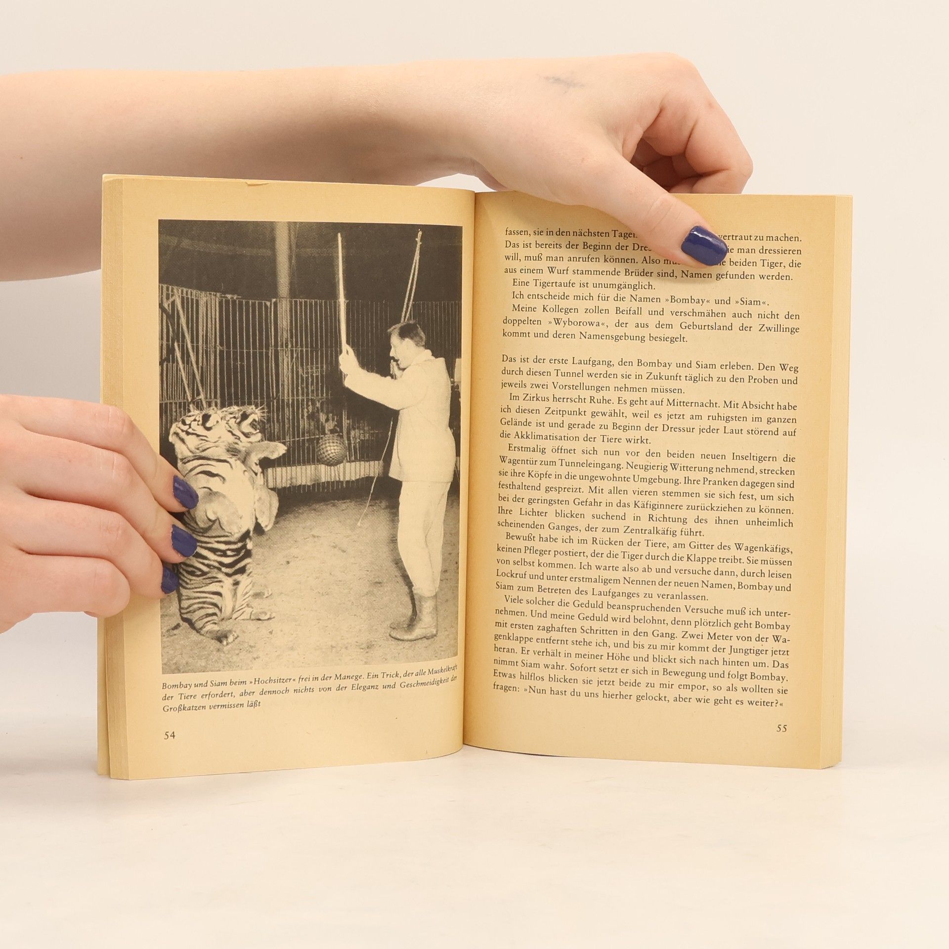 Heinz-Rudolf Bornemann Mein Tiger Bombay