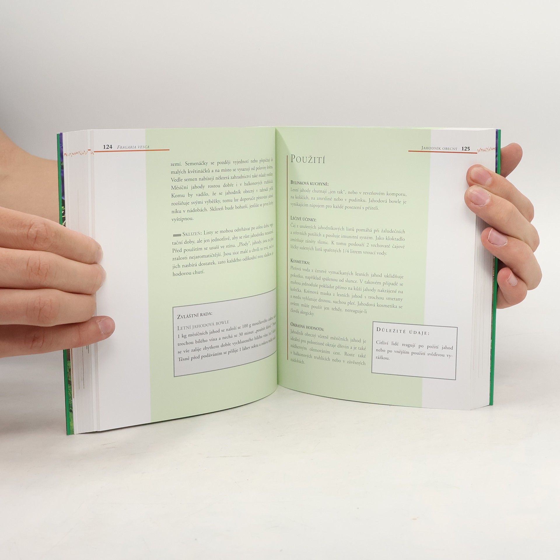 Various authors Bylinky