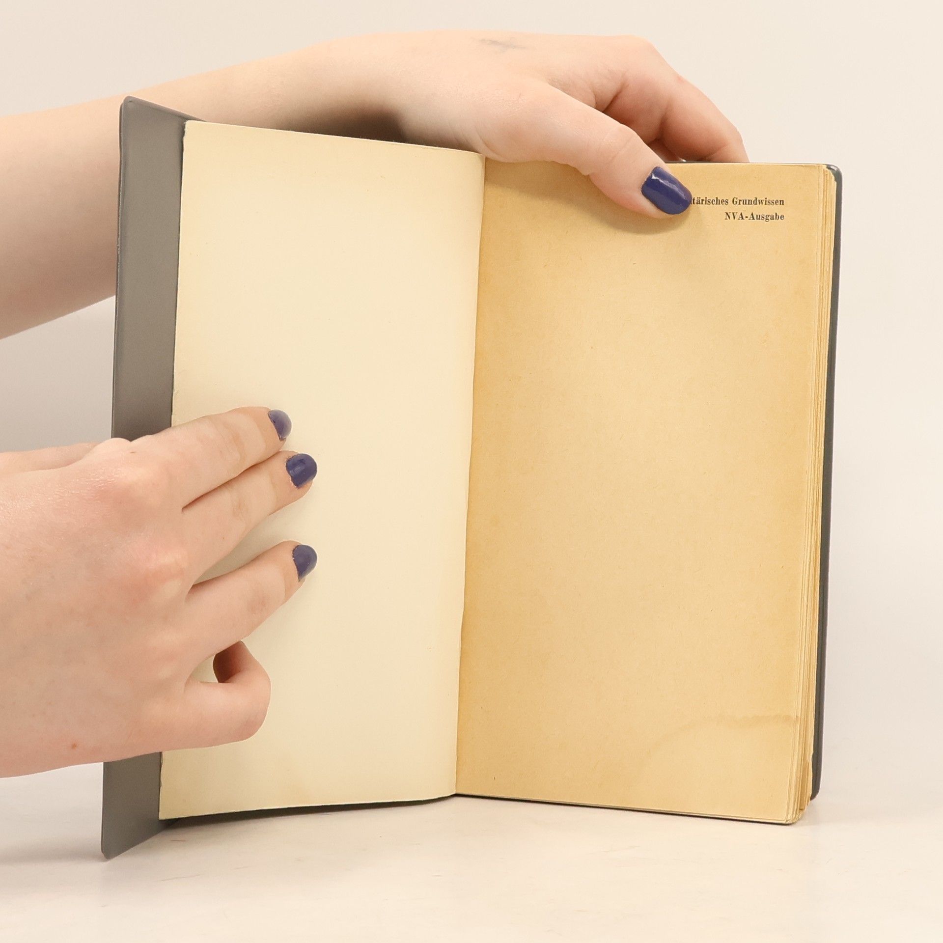Autorenkollektiv Handbuch Militärisches Grundwissen