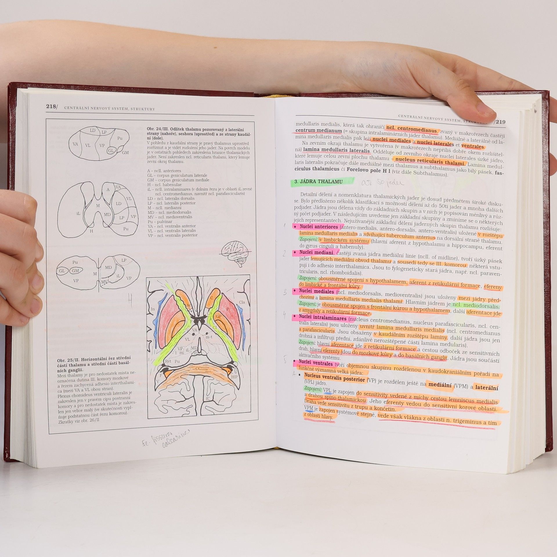 Pavel Petrovický Anatomie s topografií a klinickými aplikacemi. III. svazek, Neuroanatomie, smyslová ústrojí a kůže