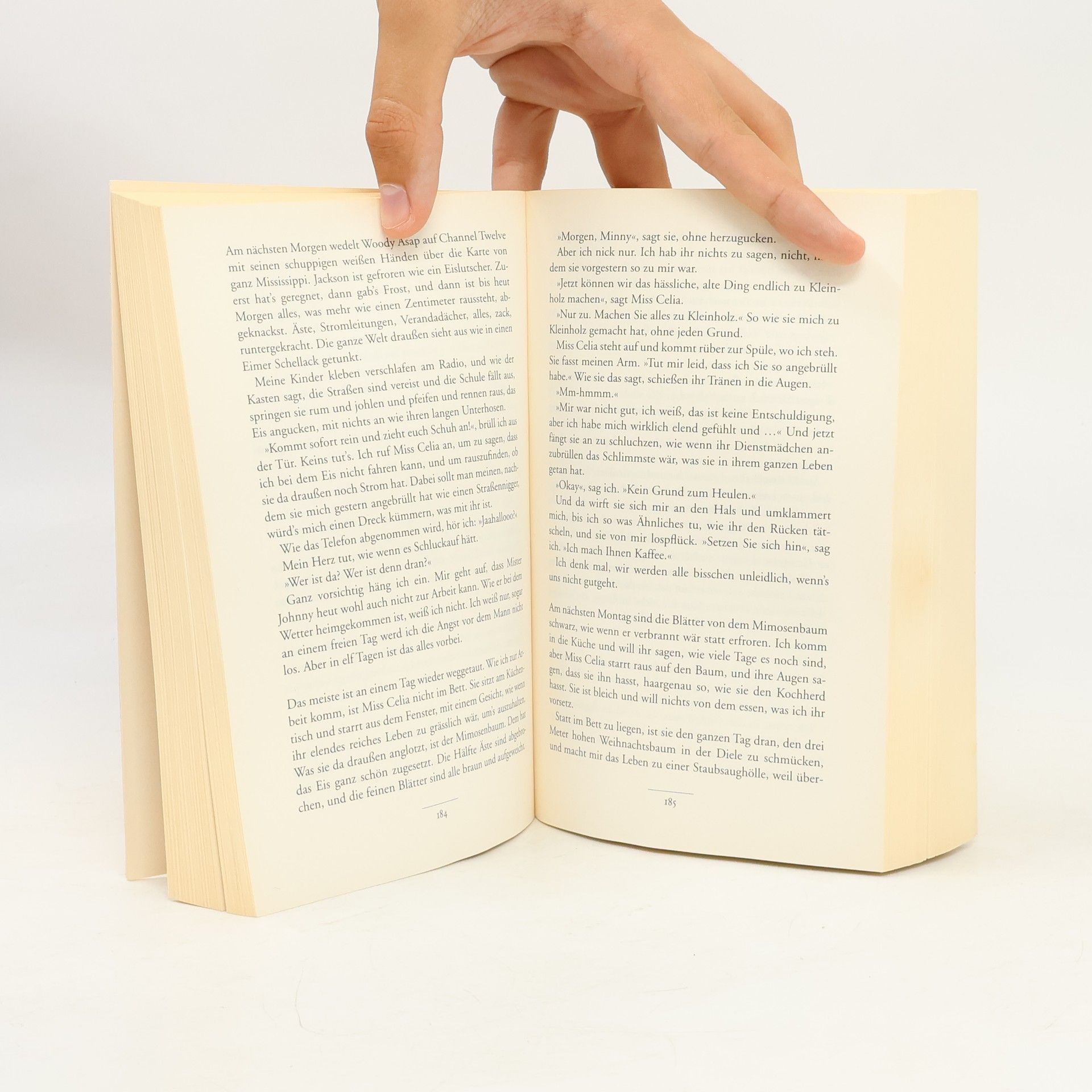 Kathryn Stockett Gute Geister