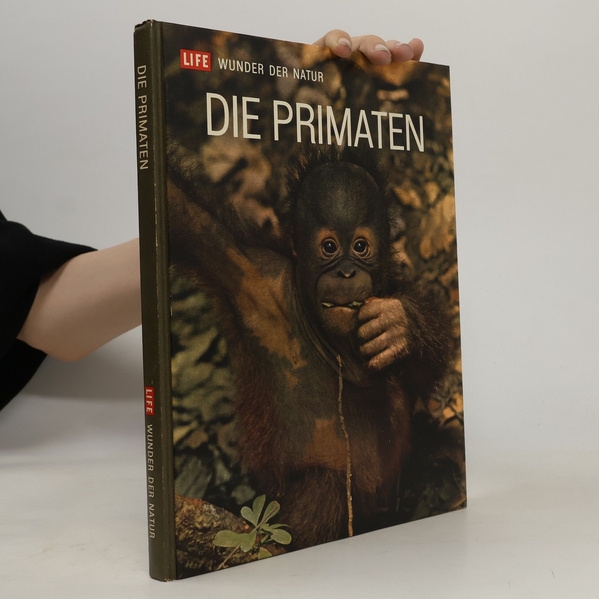 Autorenkollektiv Die Primaten