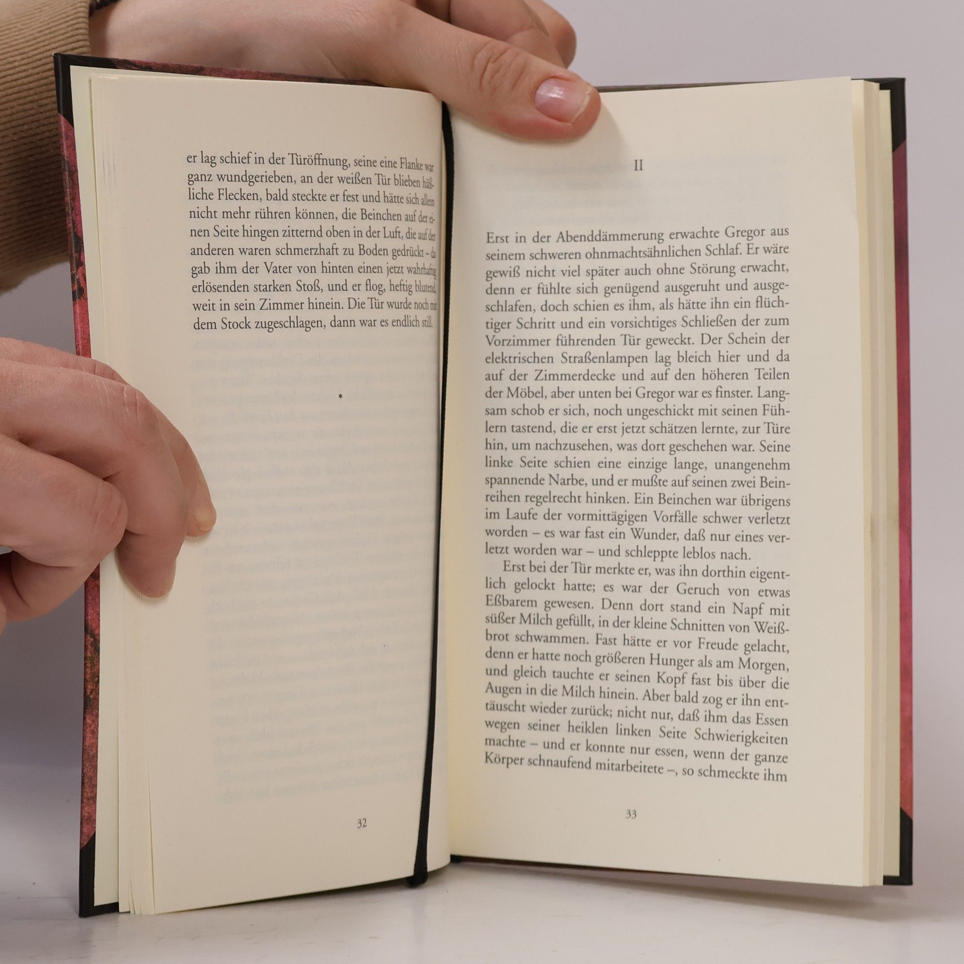 Franz Kafka Die Verwandlung. Sowie Karl Brands "Die Rückverwandlung des Gregor Samsa"