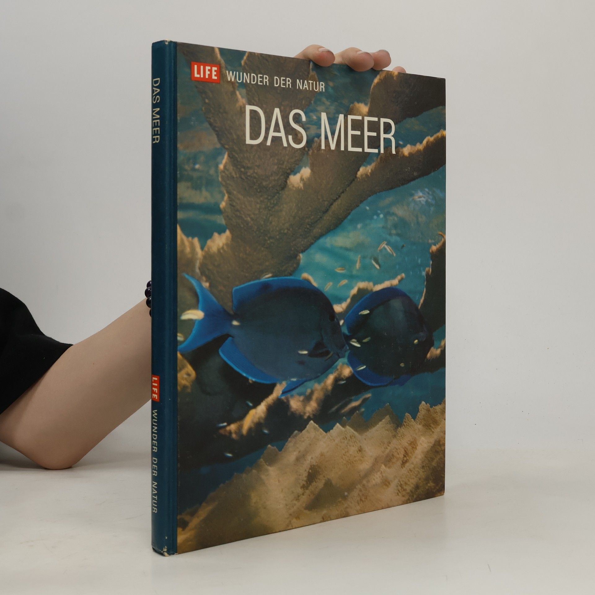 Leonard Engel Das Meer