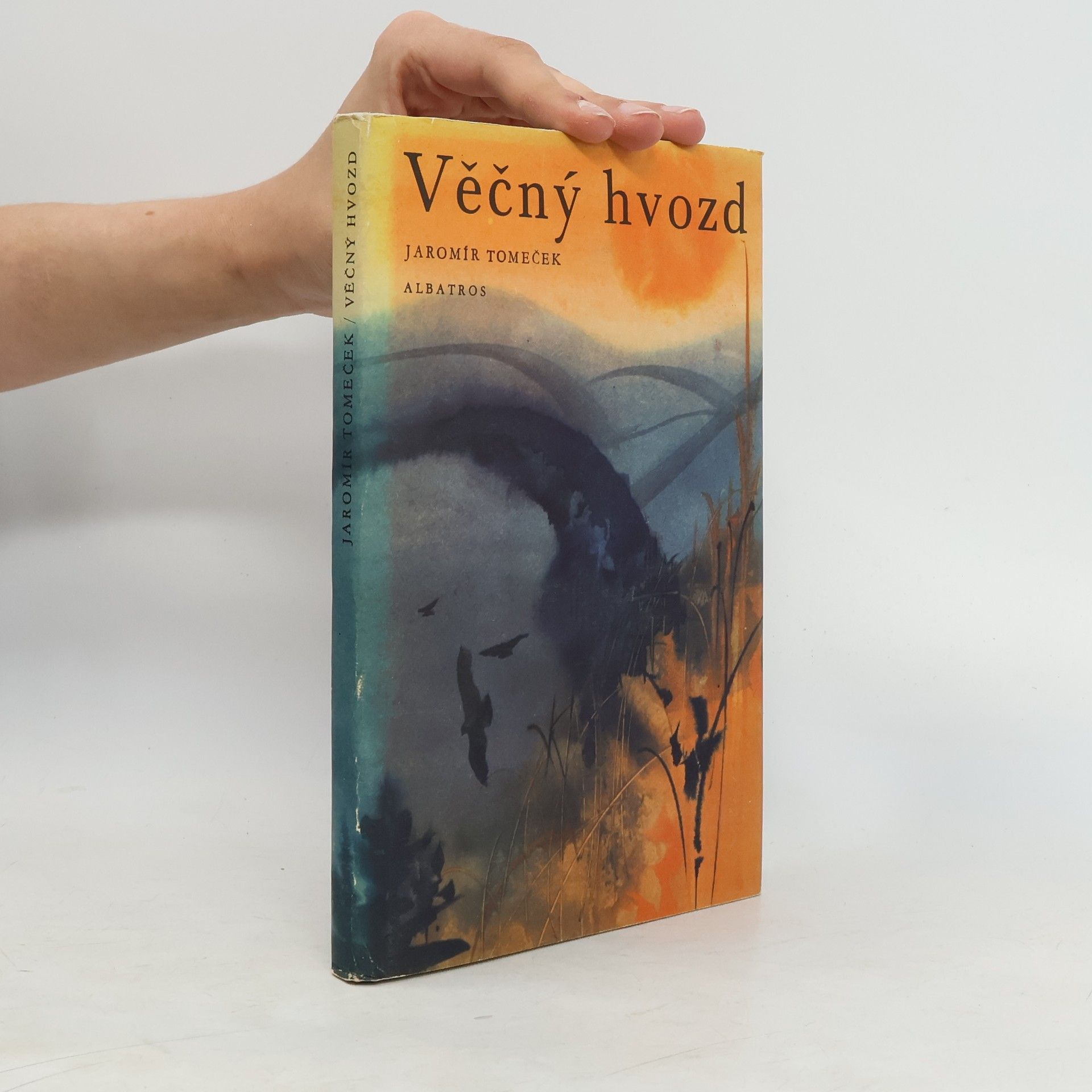 Jaromír Tomeček Věčný hvozd