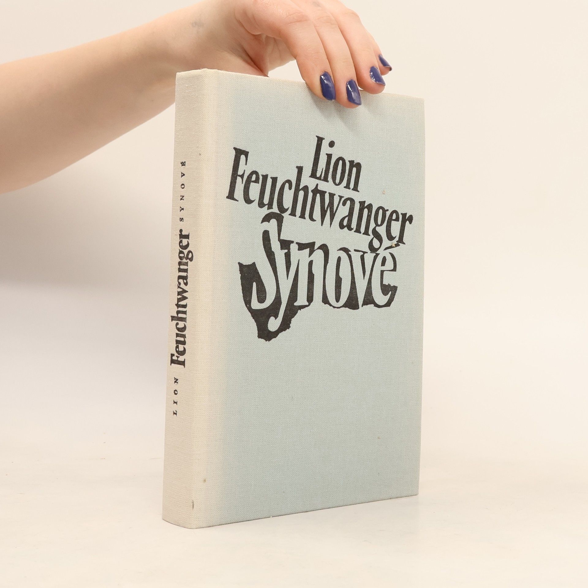 Lion Feuchtwanger Synové