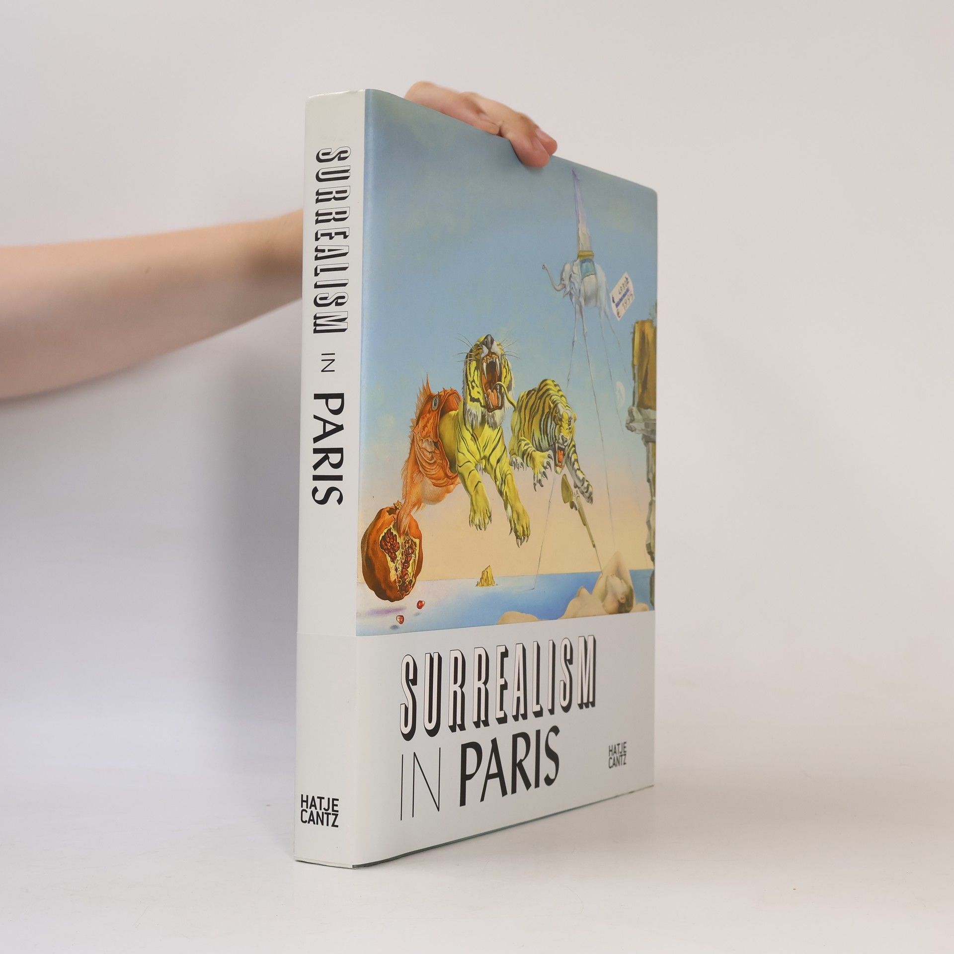 Fondation Beyeler Surrealism in Paris