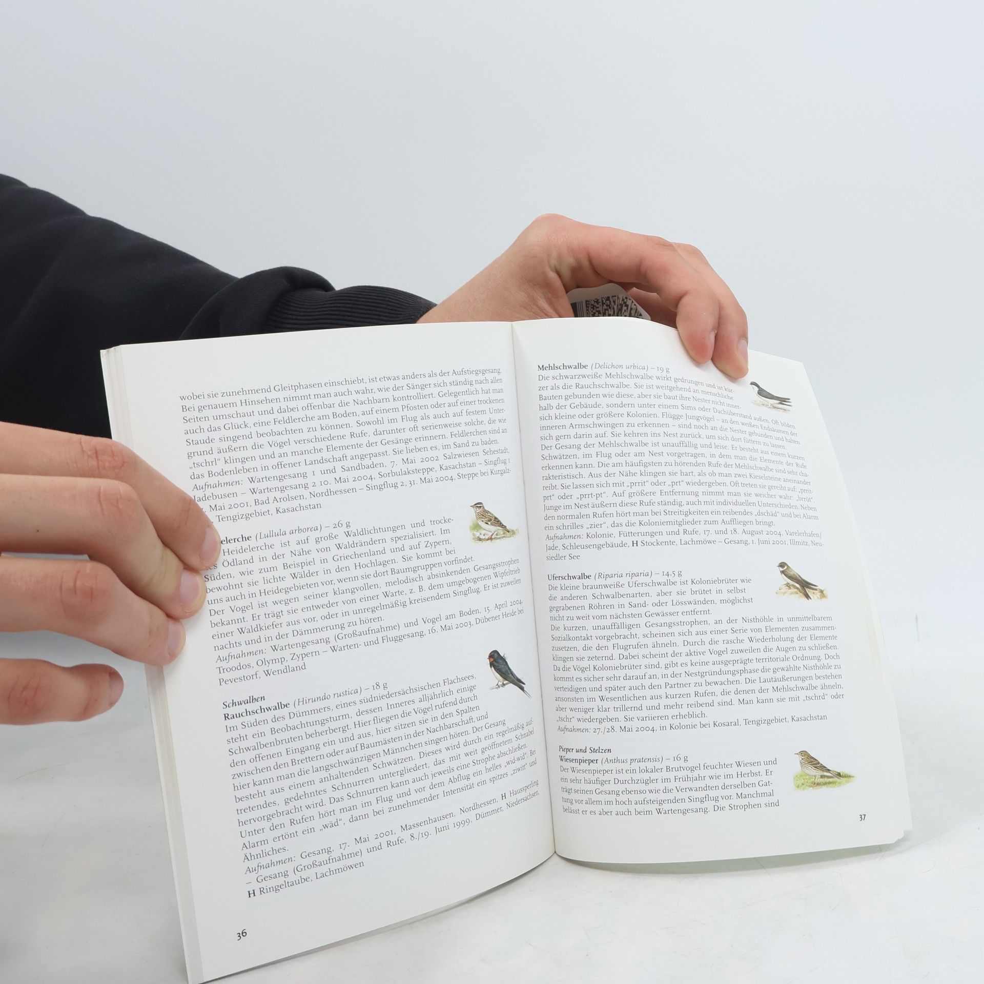 Hans-Heiner Bergmann Die Kosmos Vogelstimmen Begleitbuch. 100 Vögel, 100 Filme, 100 Stimmen