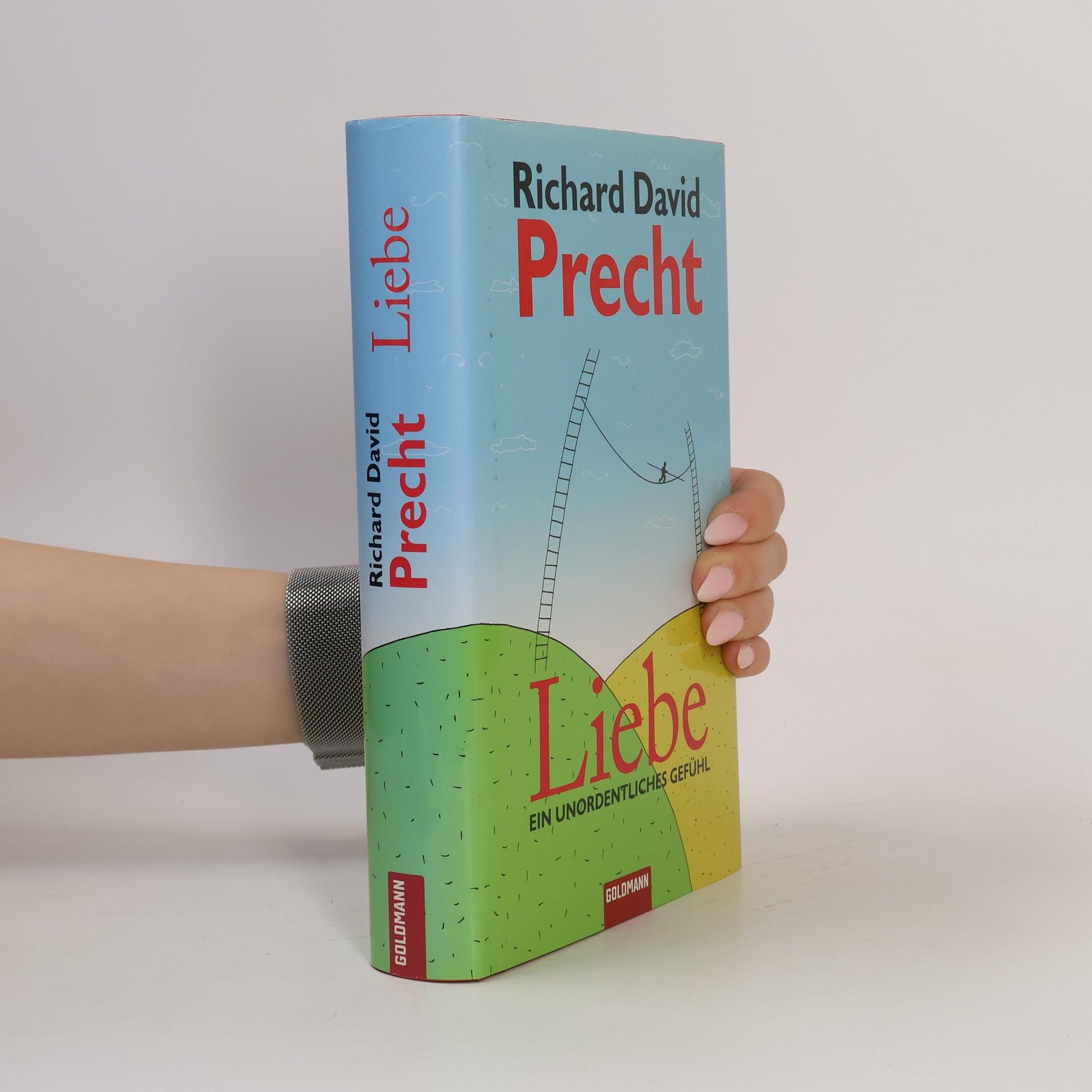 Richard David Precht Liebe ein Unordentliches Gefühl