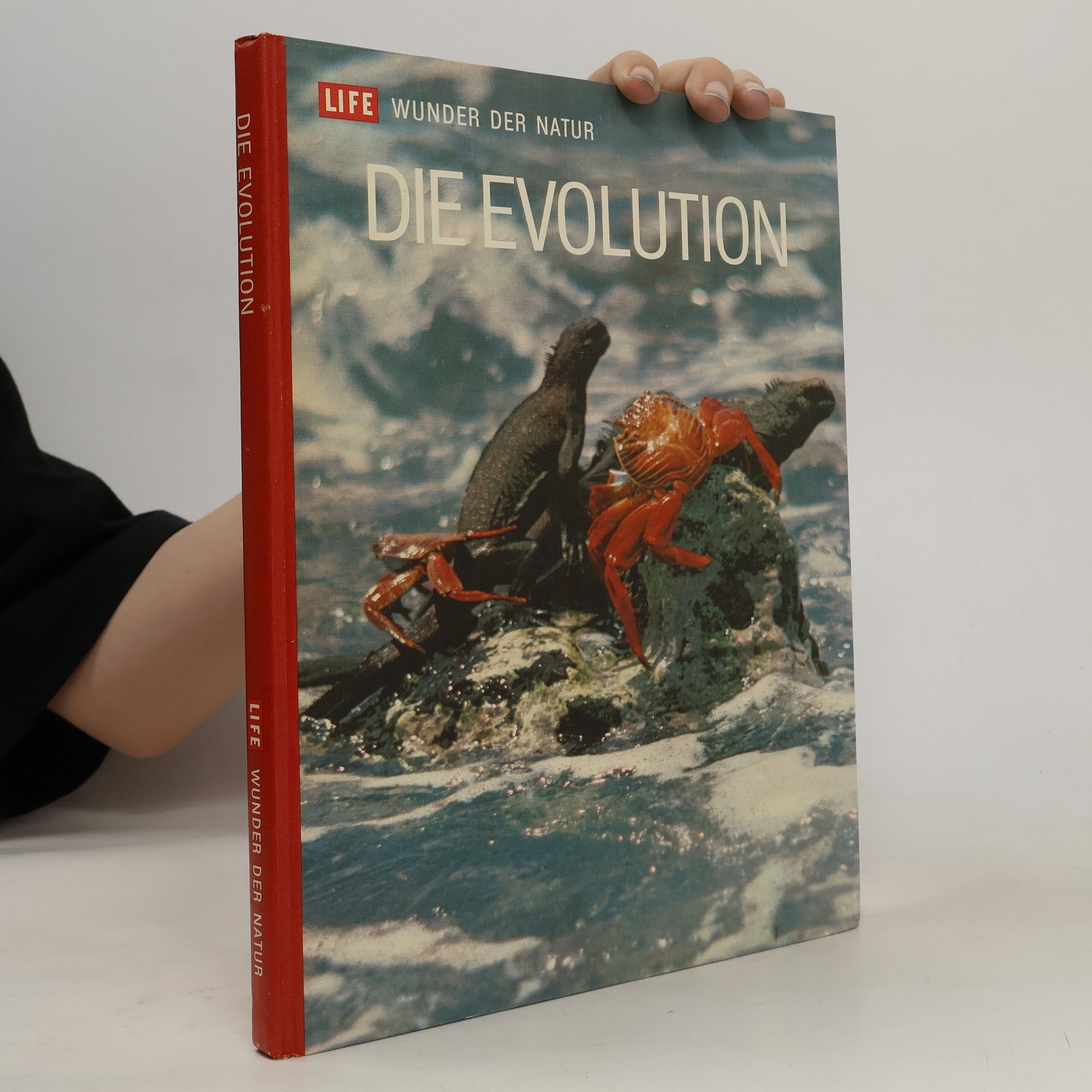 Ruth Moore Die Evolution