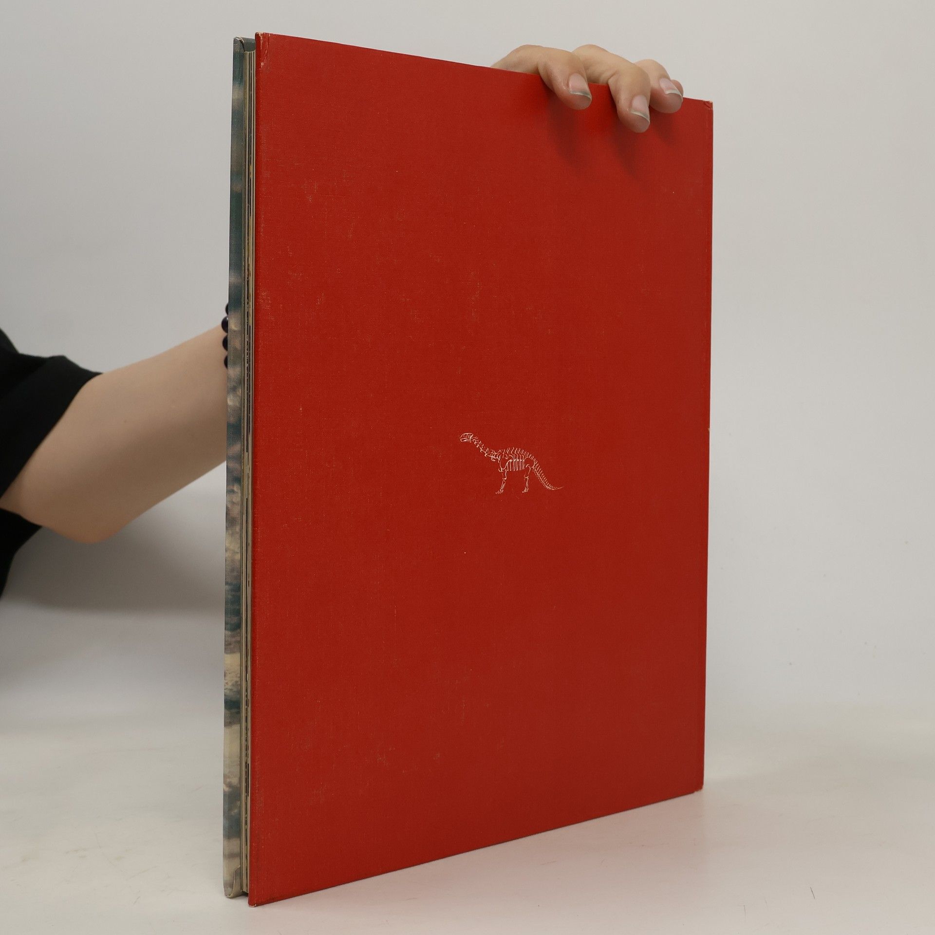 Ruth Moore Die Evolution