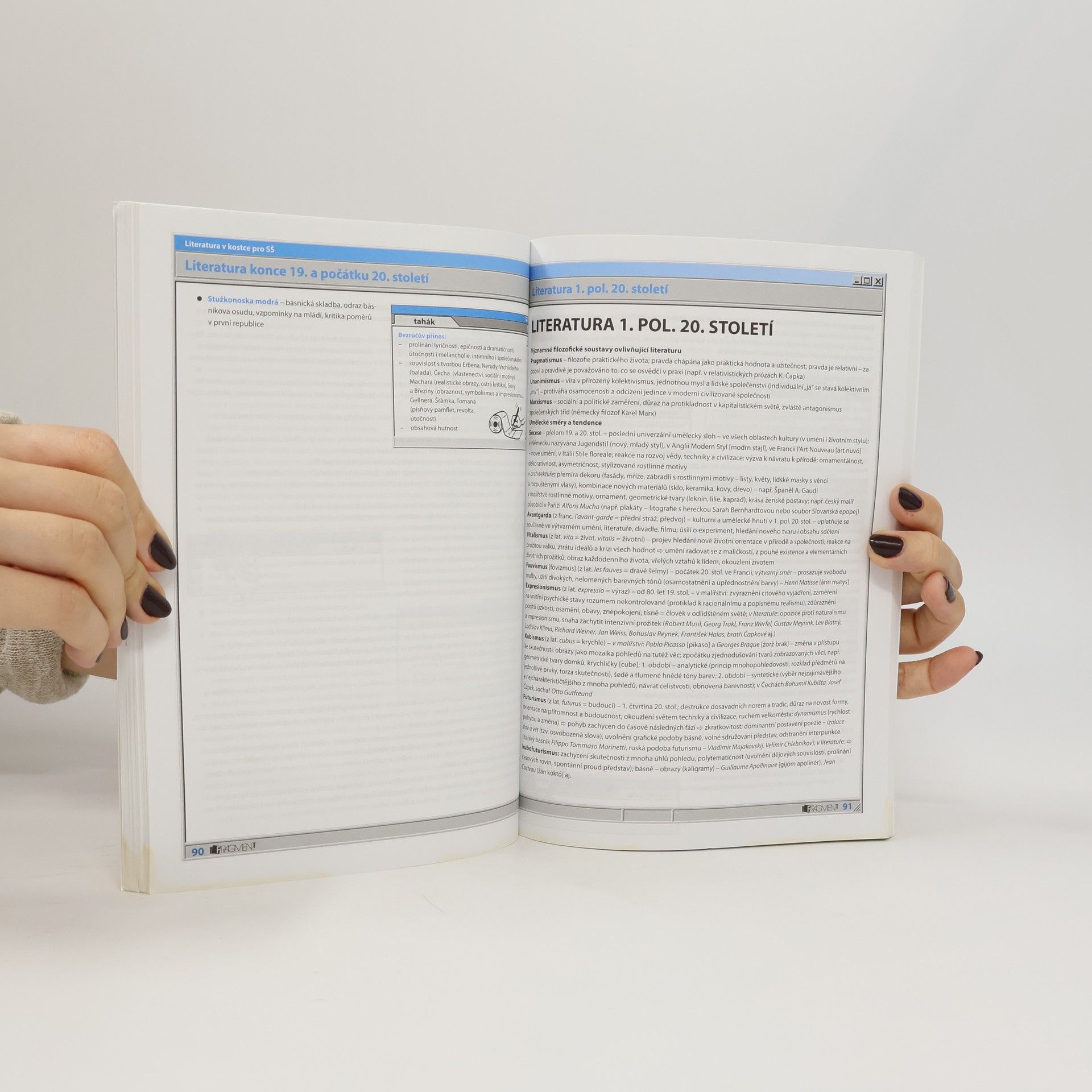 Marie Sochrová Literatura v kostce : pro střední školy