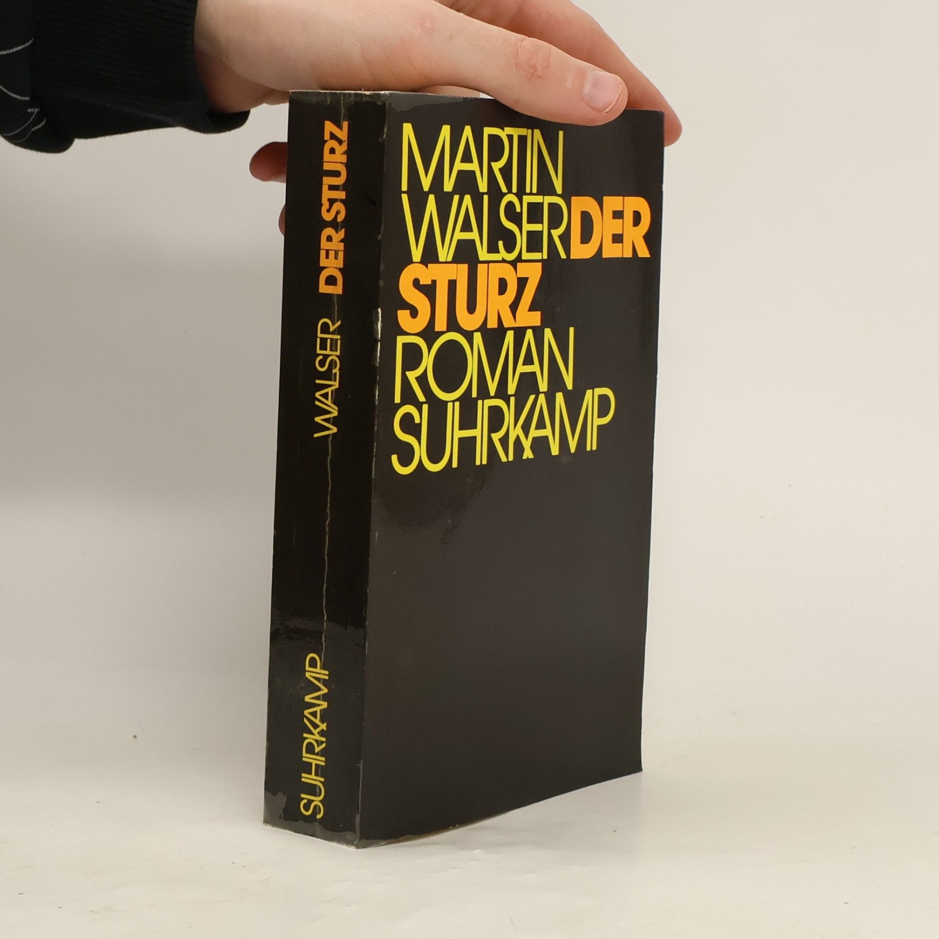 Martin Walser Der Sturz