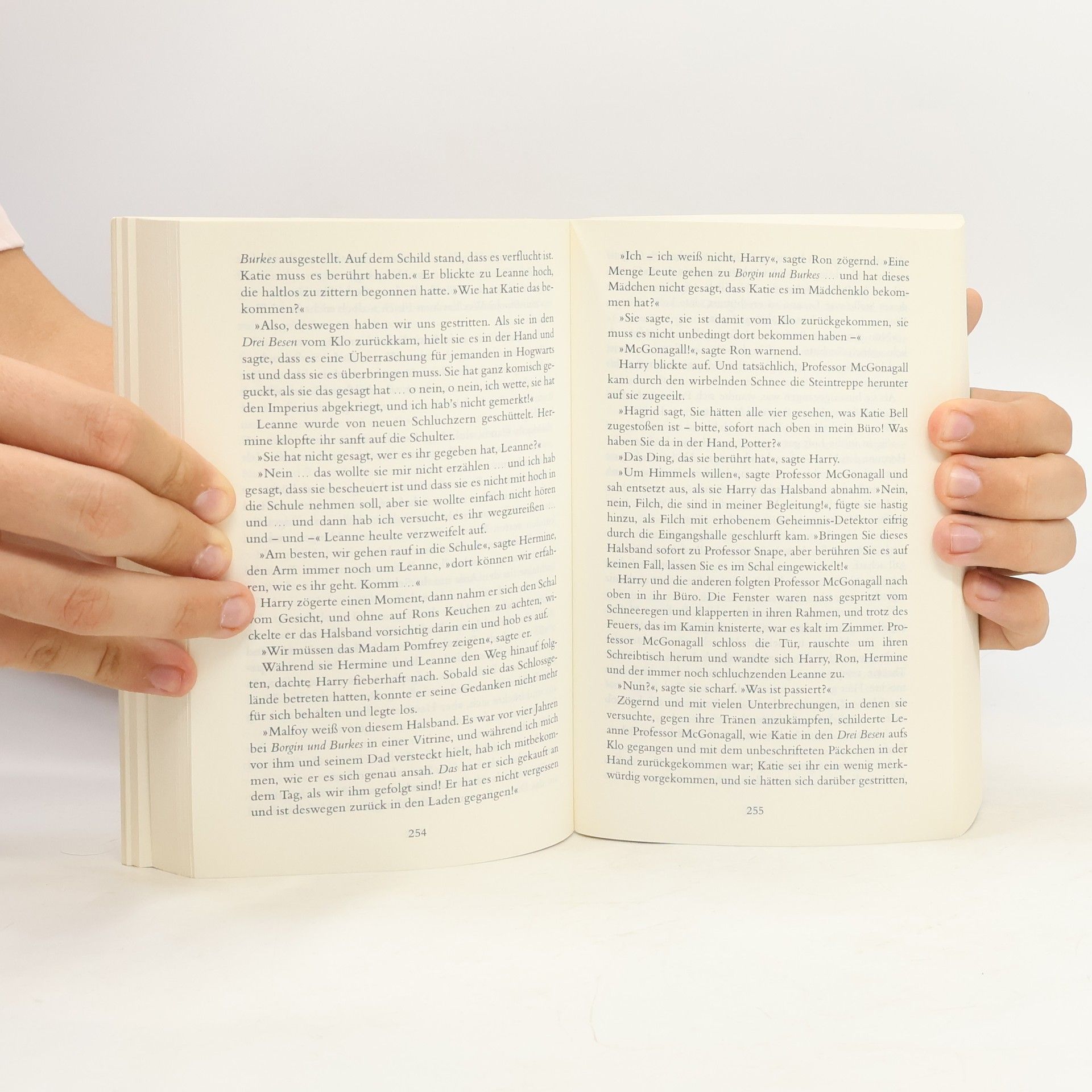 Klaus Fritz Harry Potter und der HalbblutpRinz