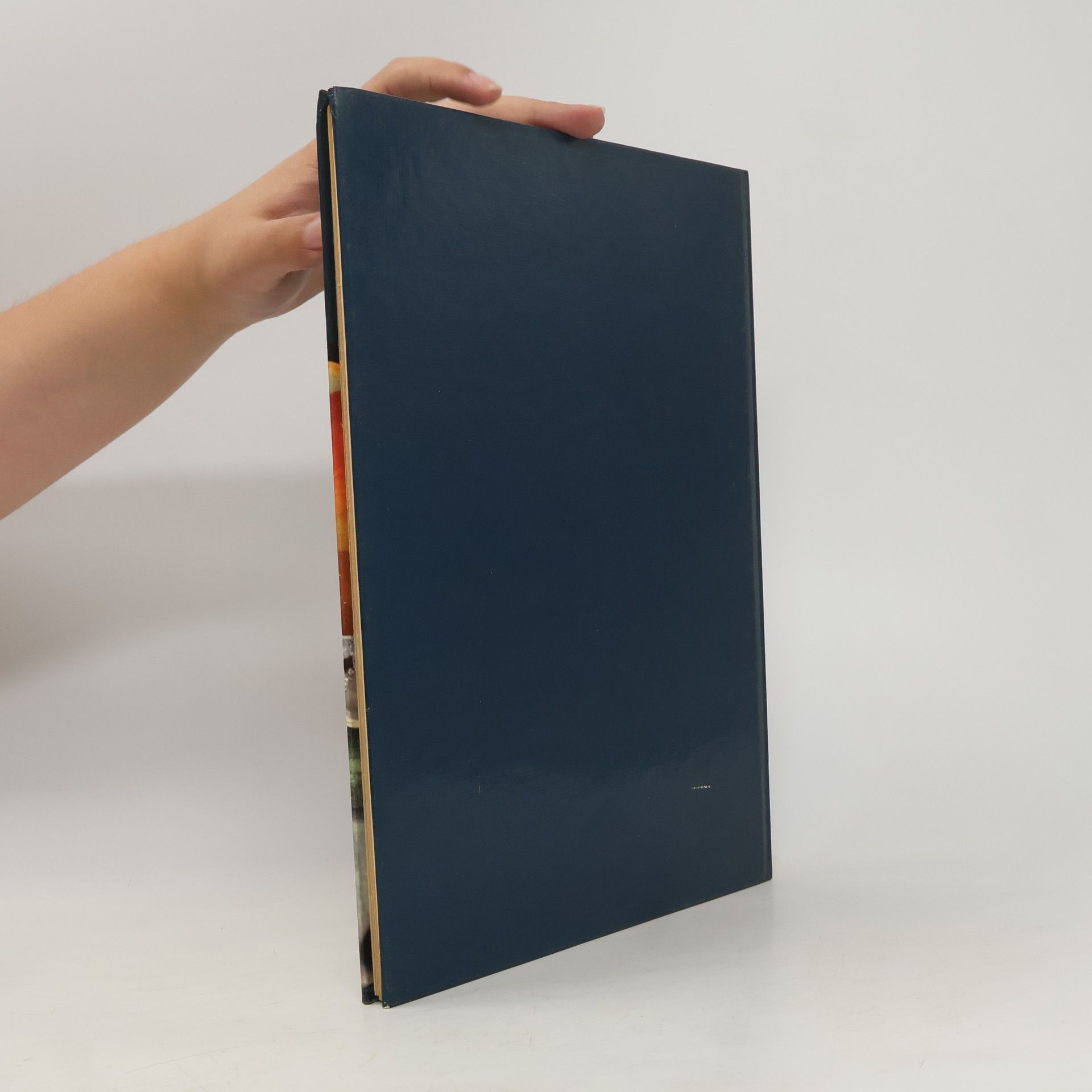 Autorenkollektiv Cucina per piatti rapidi