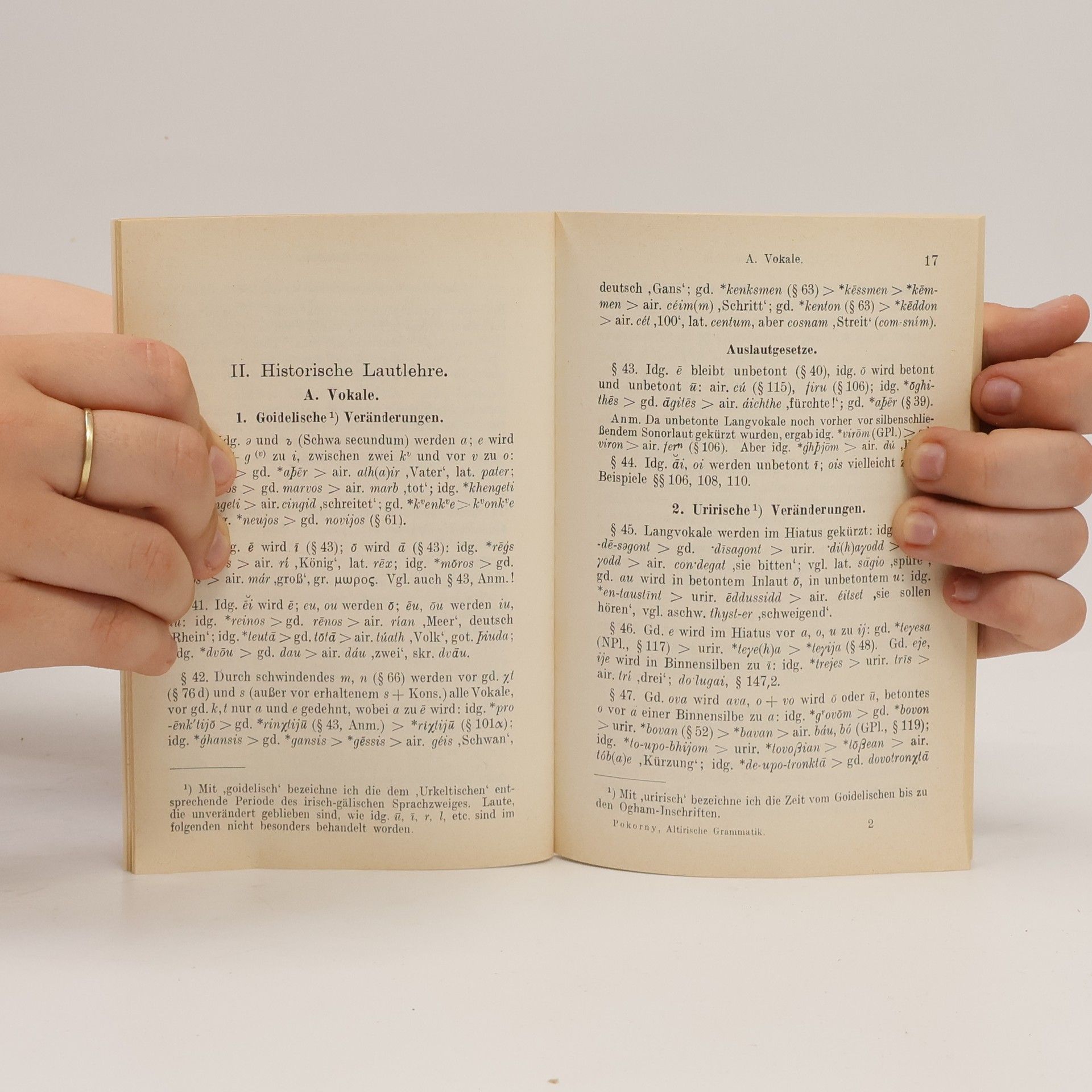 Julius Pokorny Altirische Grammatik
