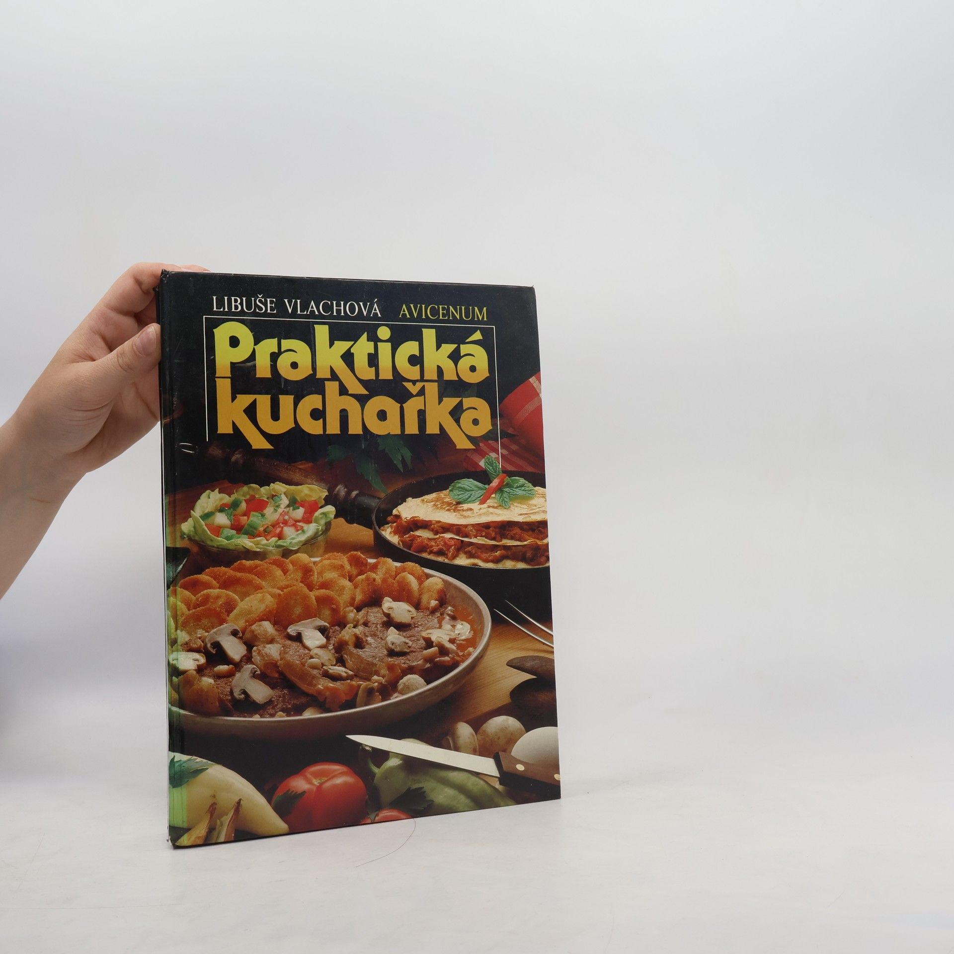 Libuše Vlachová Praktická kuchařka