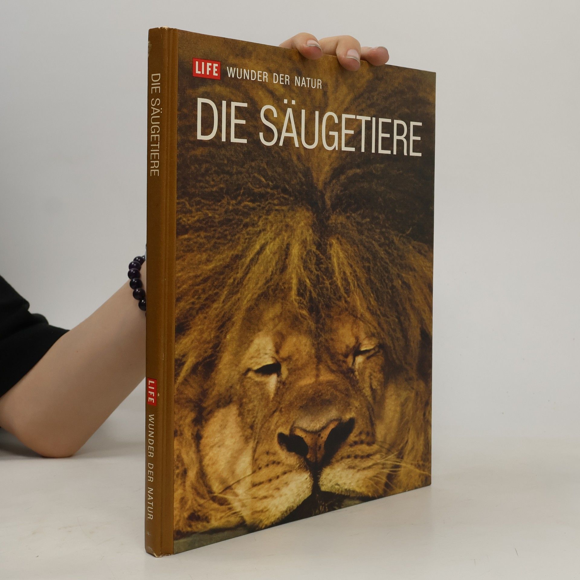Autorenkollektiv Die Säugetiere