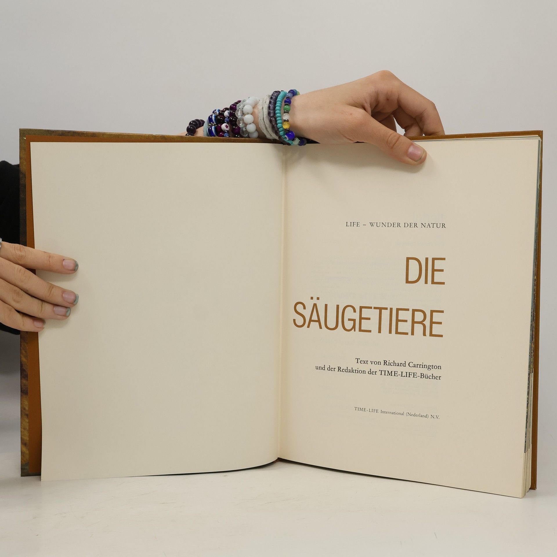Various authors Die Säugetiere