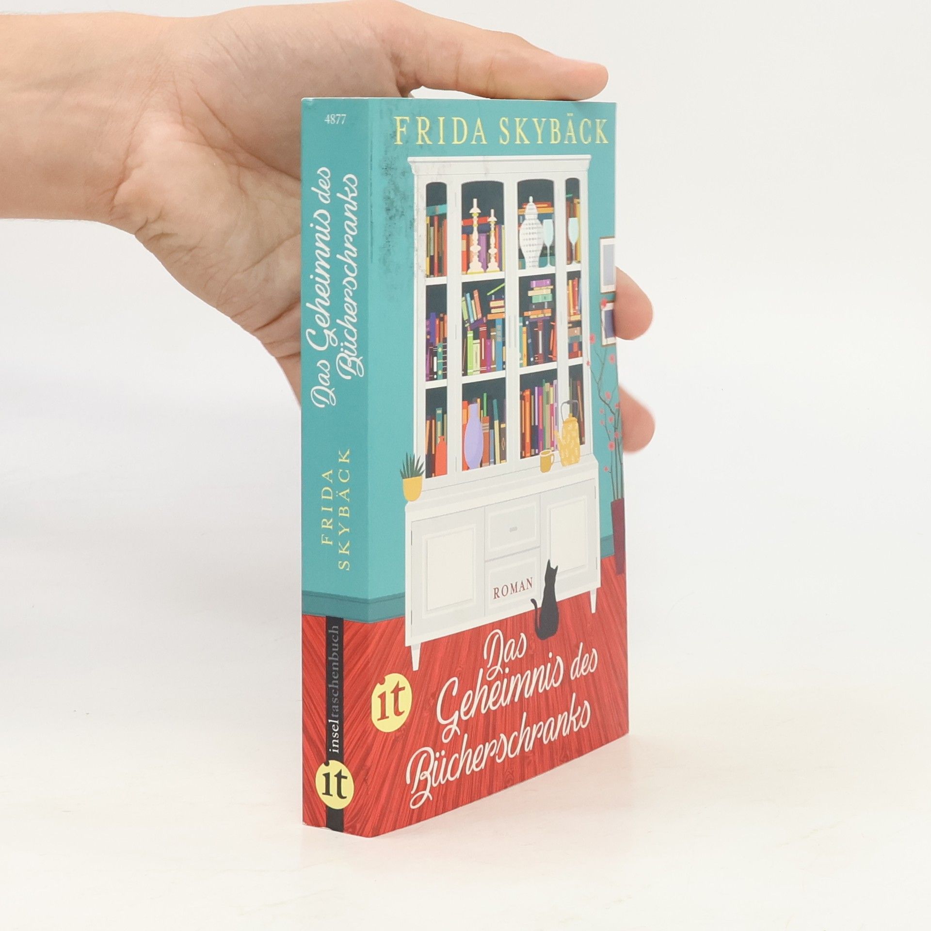 Frida Skybäck Das Geheimnis des Bücherschranks