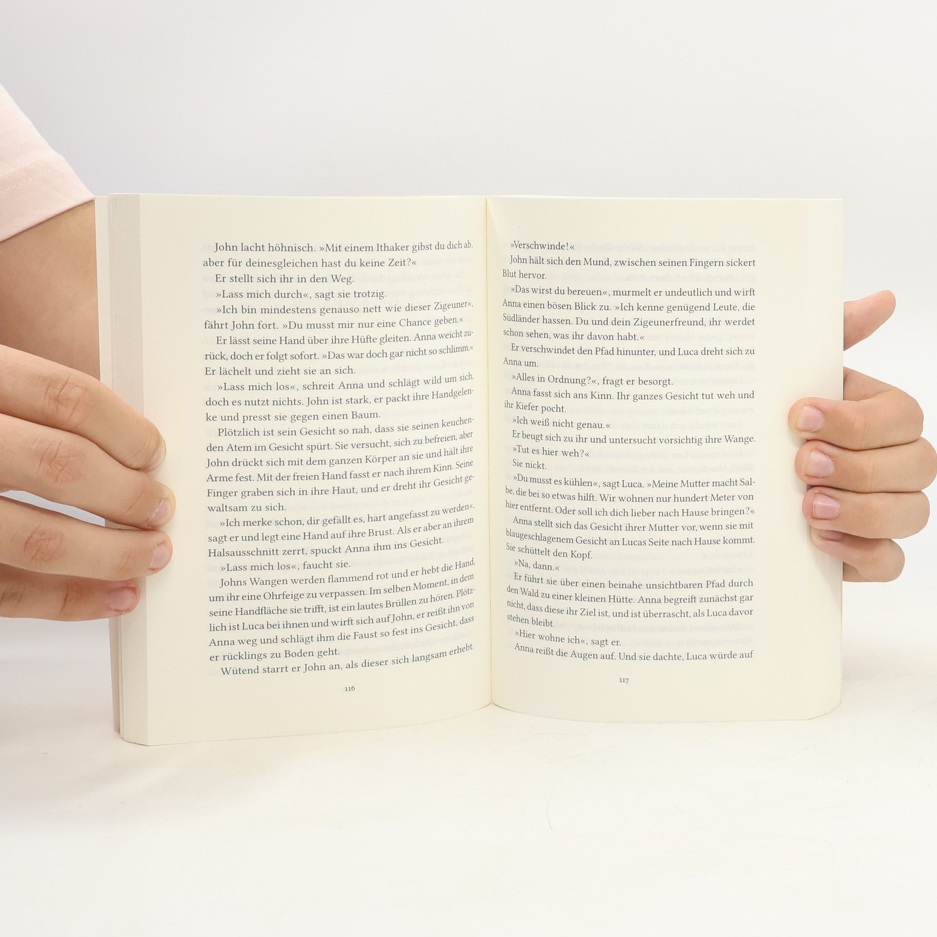 Frida Skybäck Das Geheimnis des Bücherschranks
