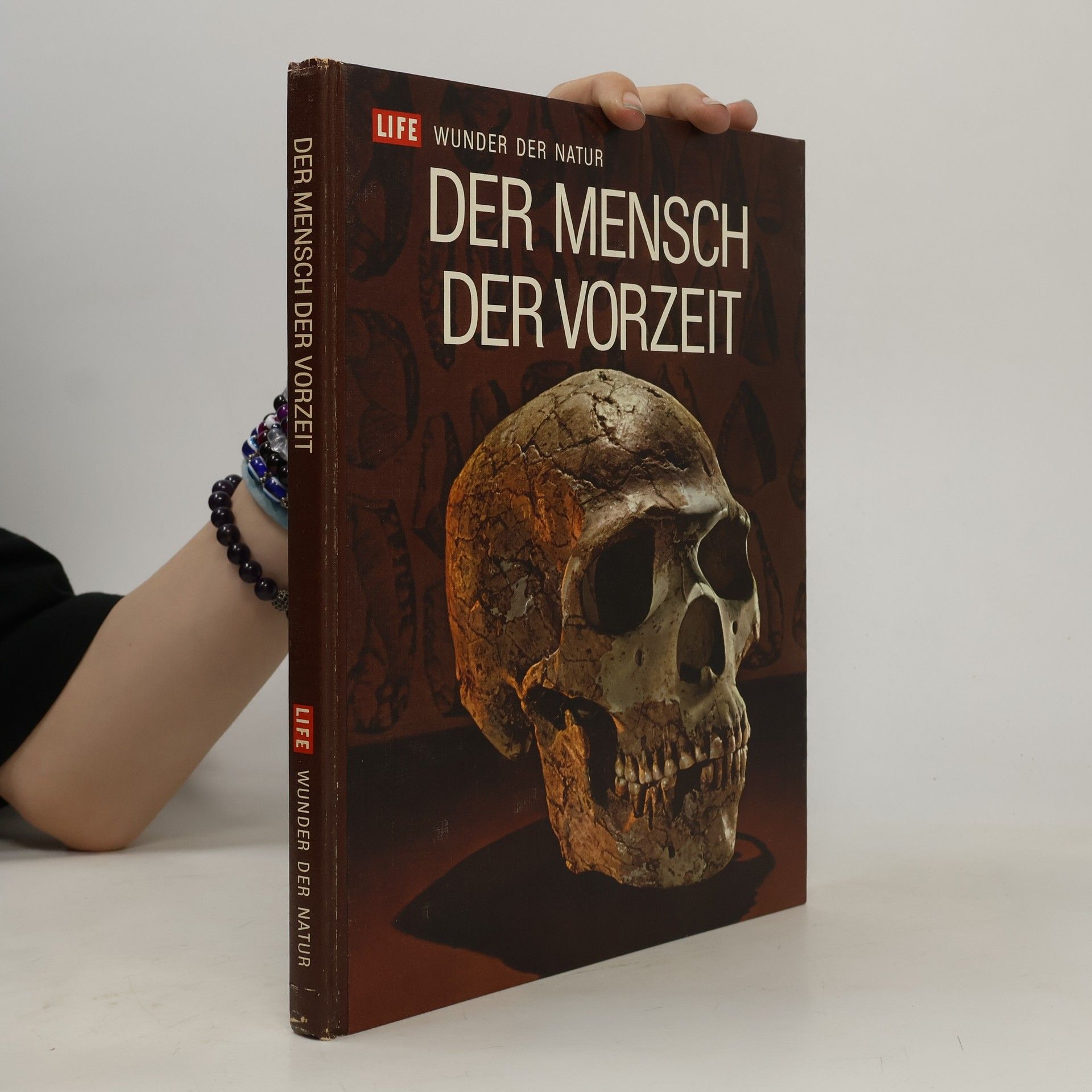 Autorenkollektiv Der Mensch der Vorzeit