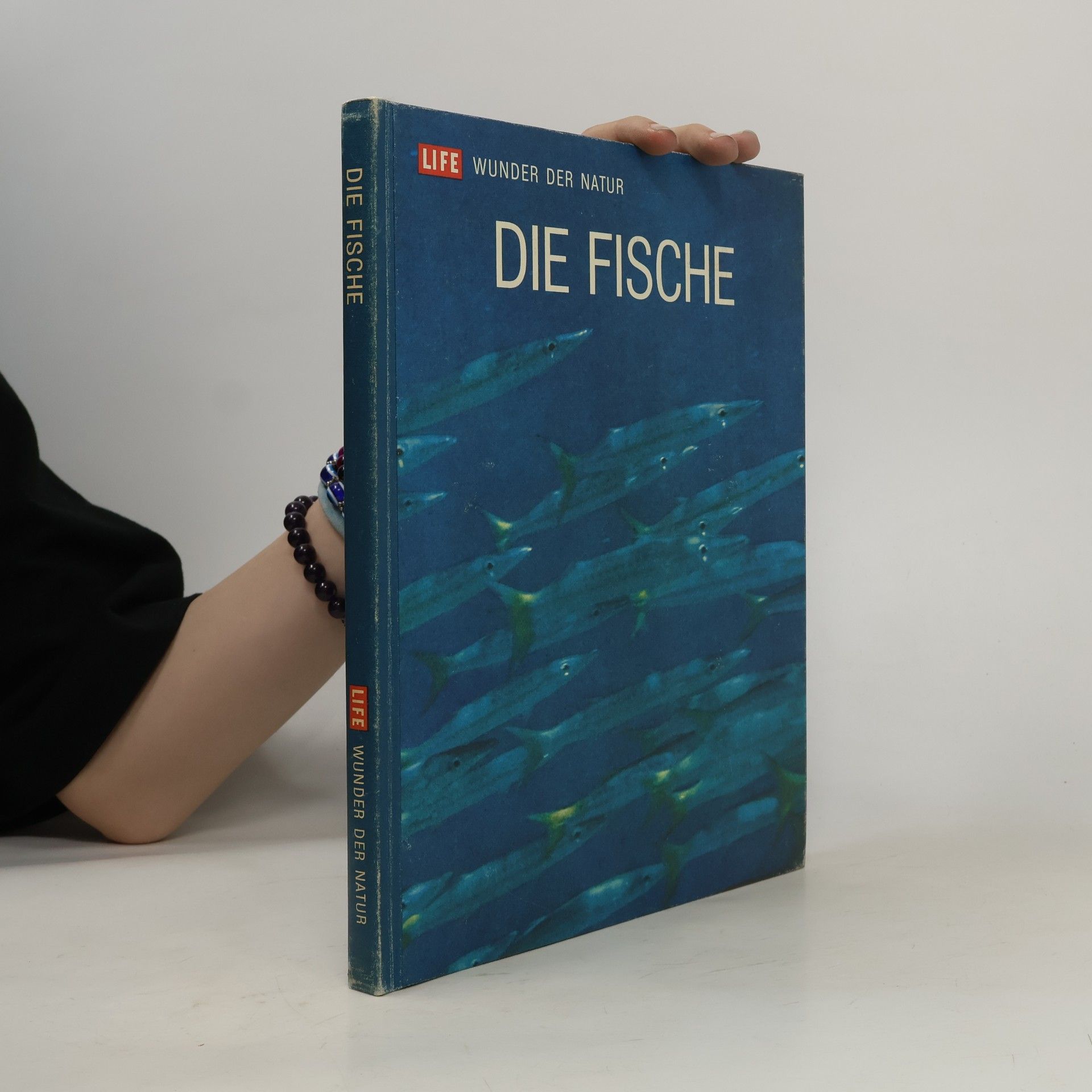 Autorenkollektiv Die Fische