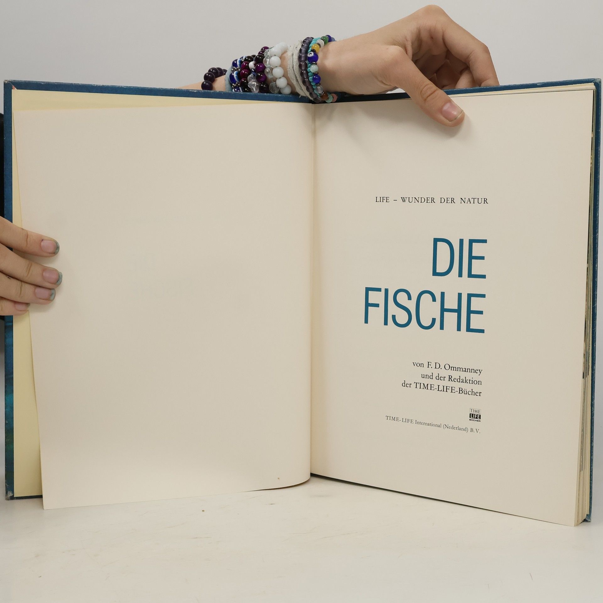 Autorenkollektiv Die Fische