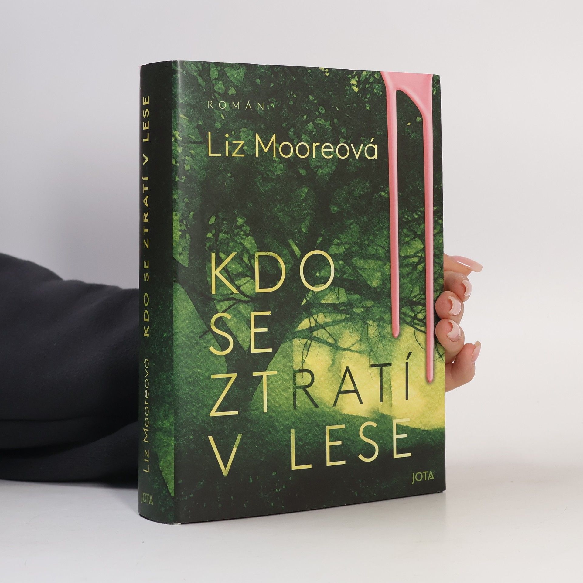 Liz Moore Kdo se ztratí v lese