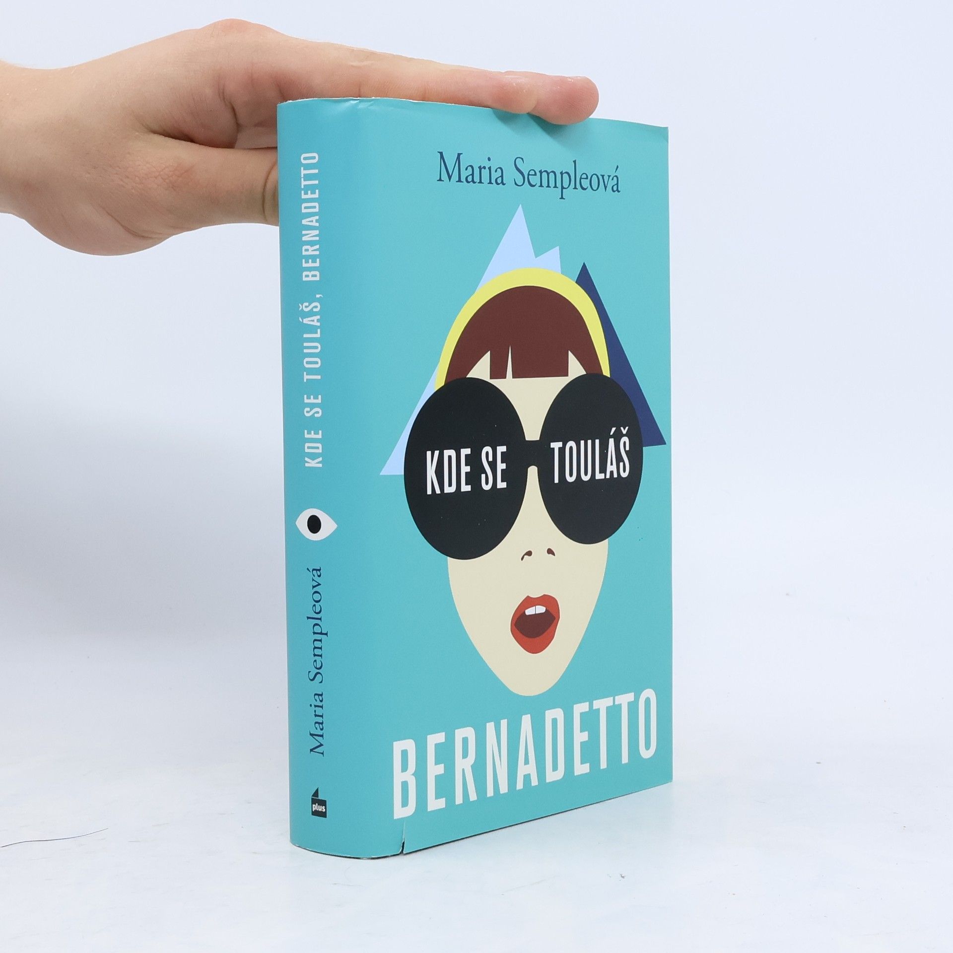 Maria Semple Kde se touláš, Bernadetto