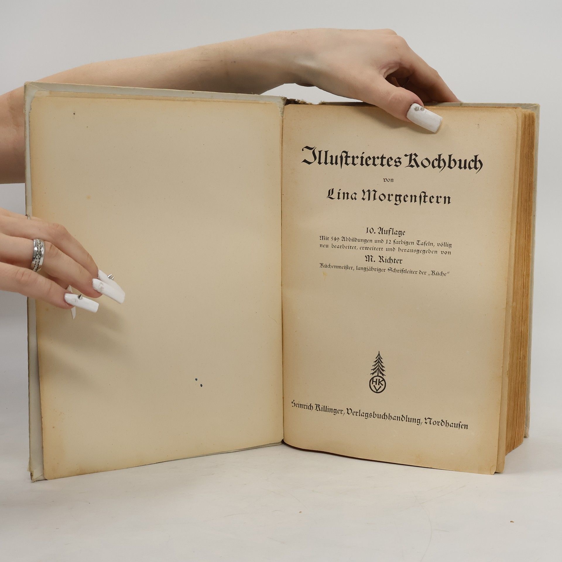 Lina Morgenstern Illustriertes Kochbuch