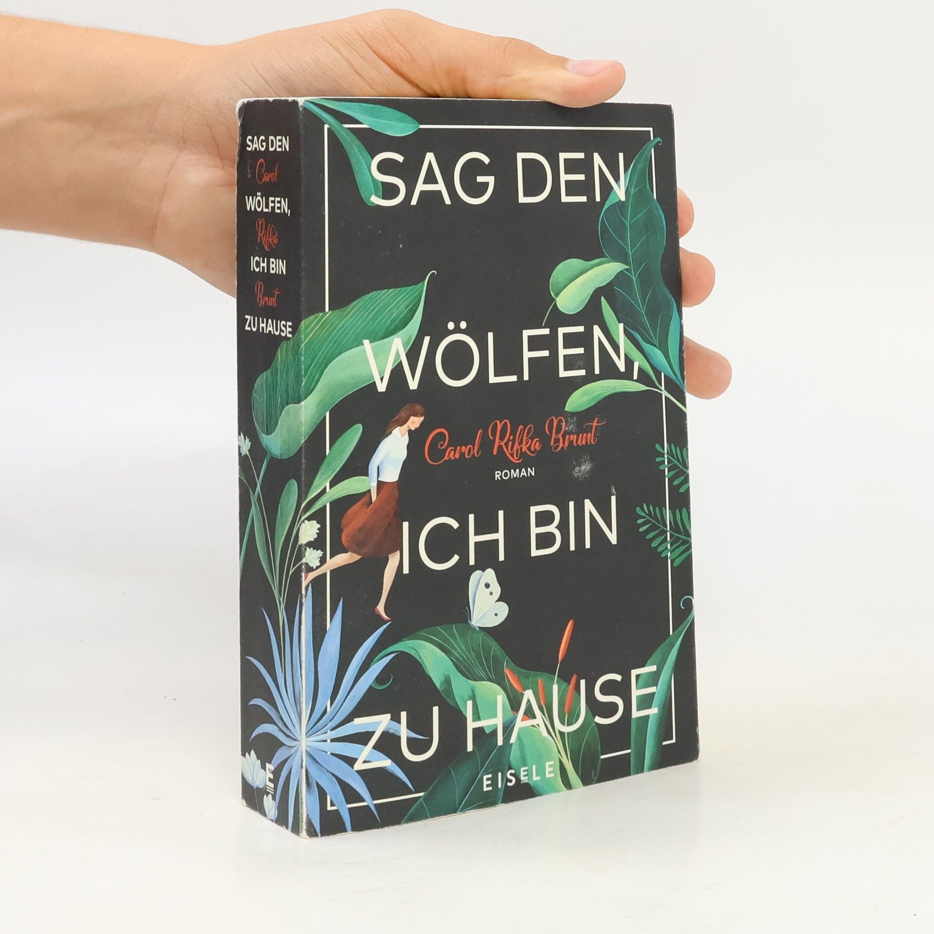 Carol Rifka Brunt Sag den Wölfen, ich bin zu Hause