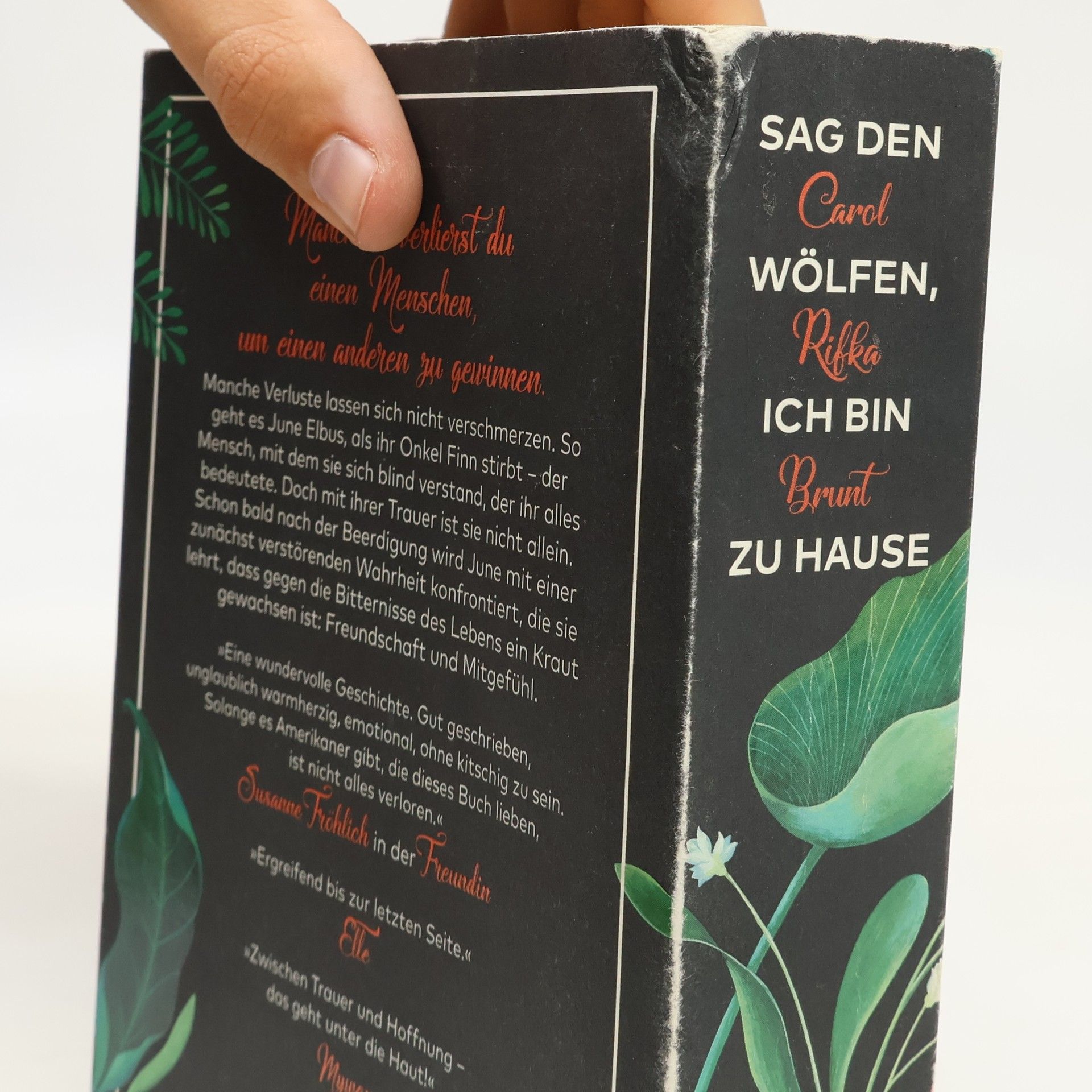 Carol Rifka Brunt Sag den Wölfen, ich bin zu Hause