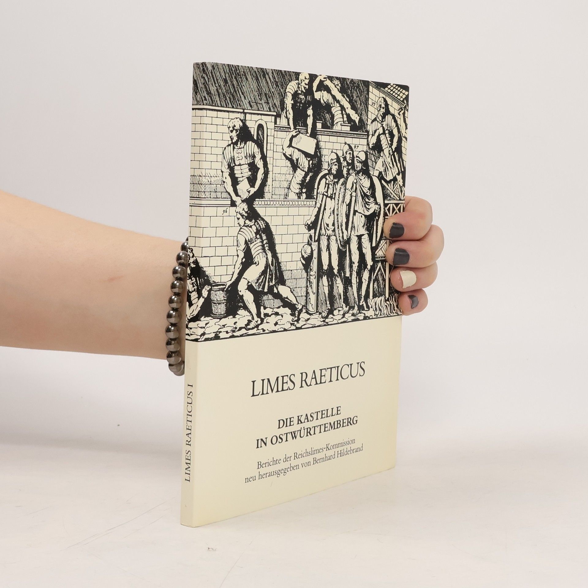 Autores varios Limes Raeticus