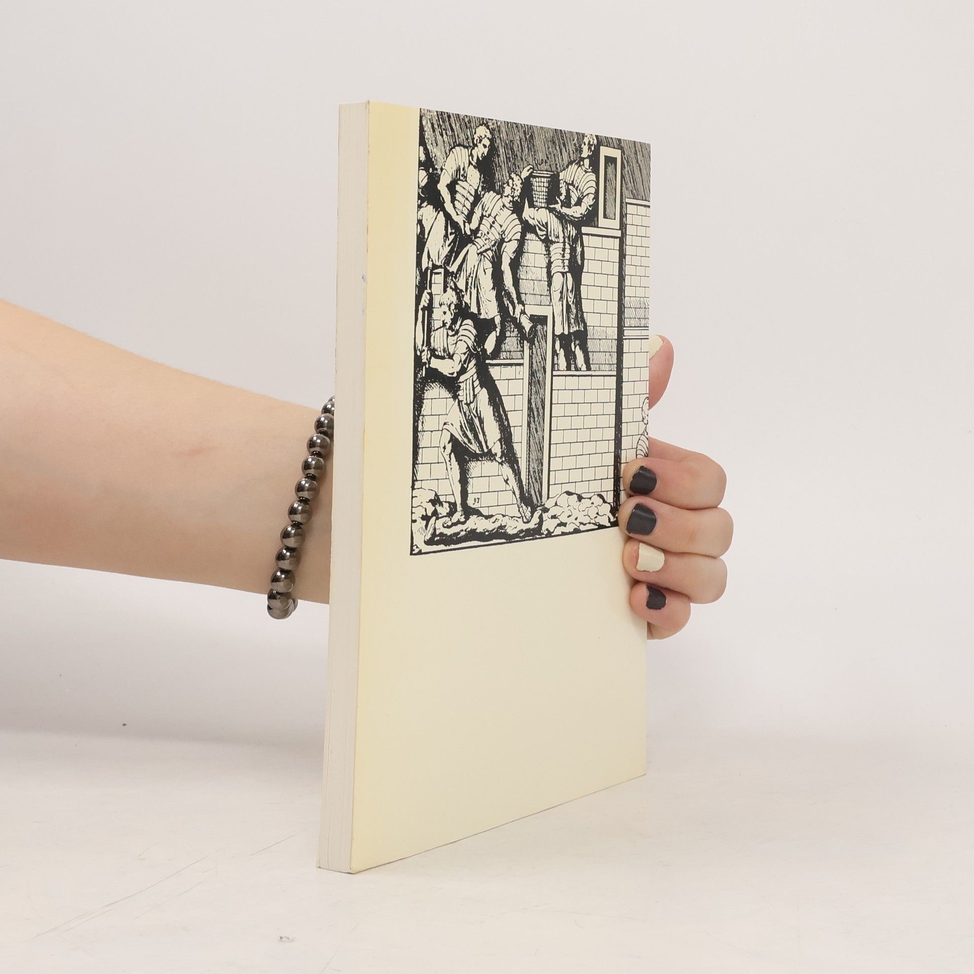 Autores varios Limes Raeticus