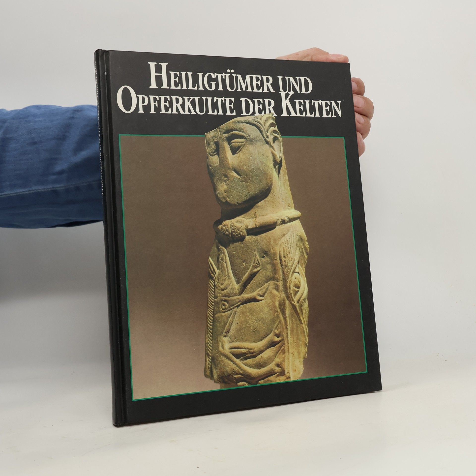 Alfred Haffner Heiligtümer und Opferkulte der Kelten