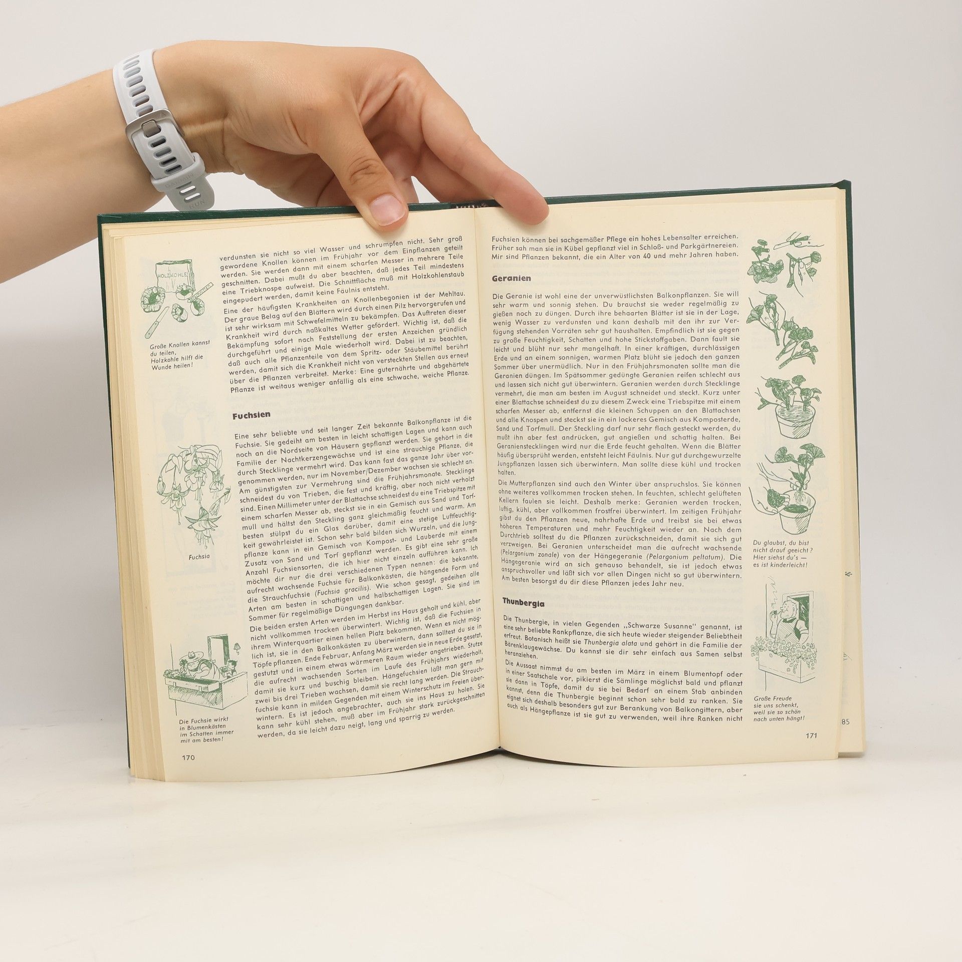 Harry Pötschkes Gärtner Pötschkes großes Gartenbuch