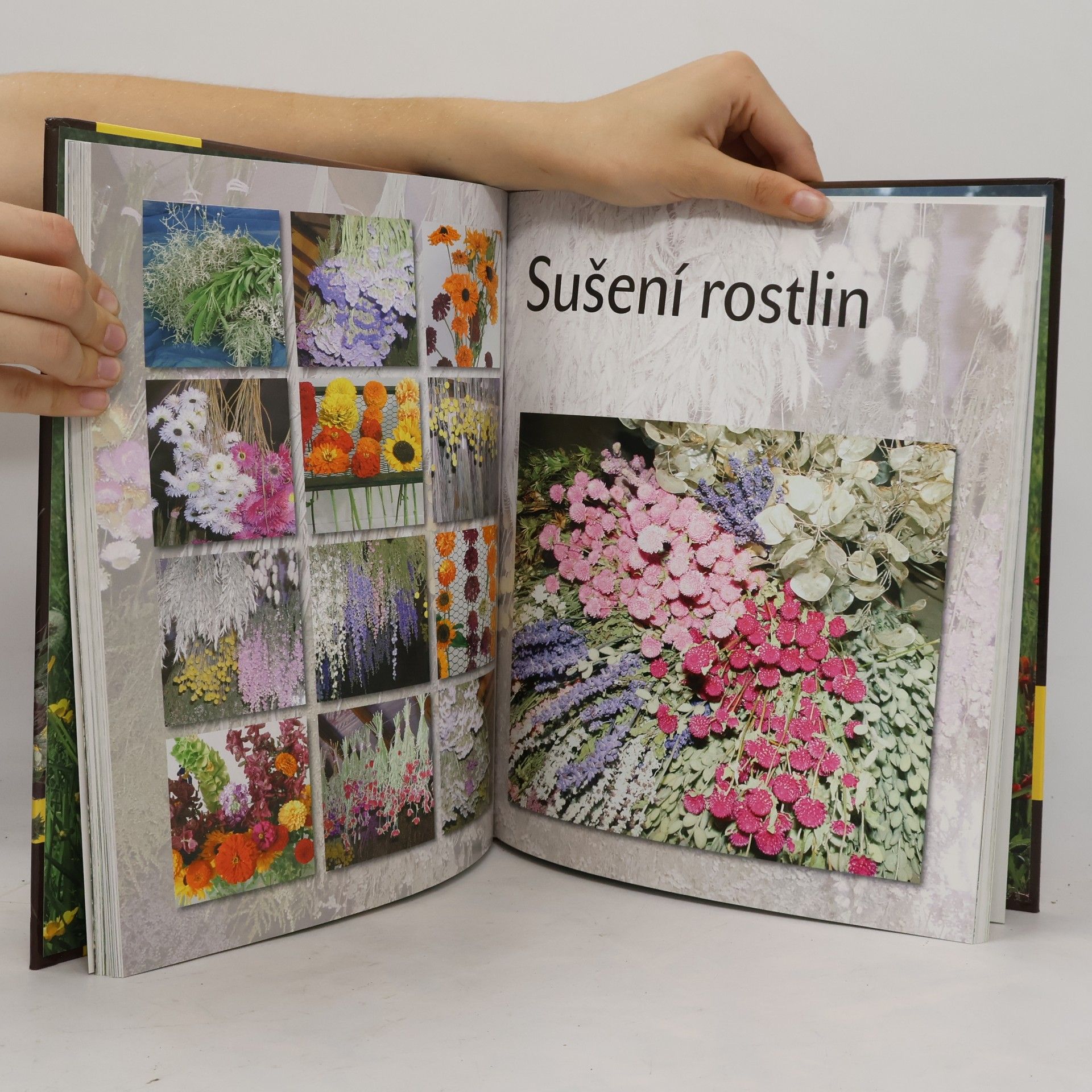Tatiana Kuťková Velká kniha sušených rostlin