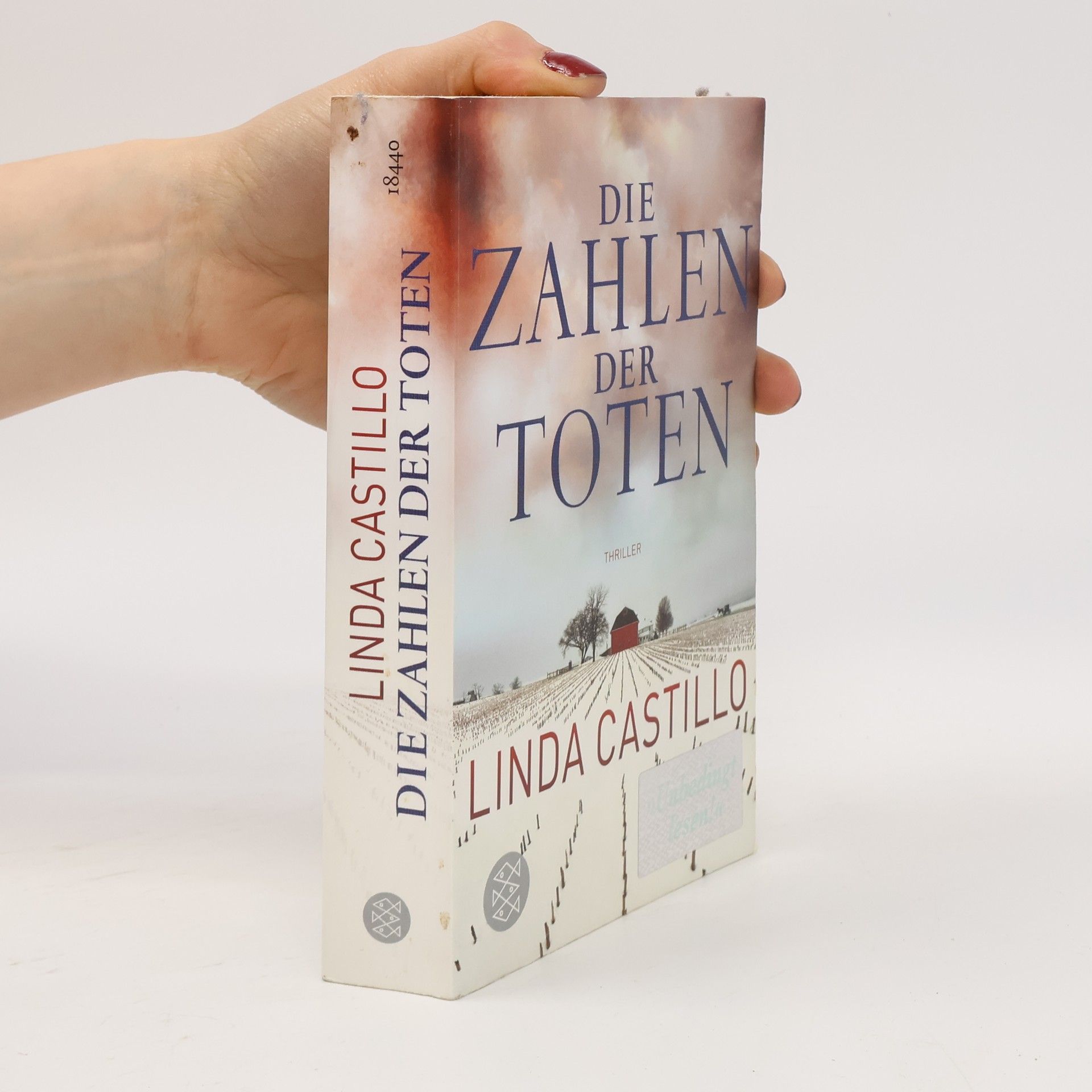 Linda Castillo Die Zahlen der Toten