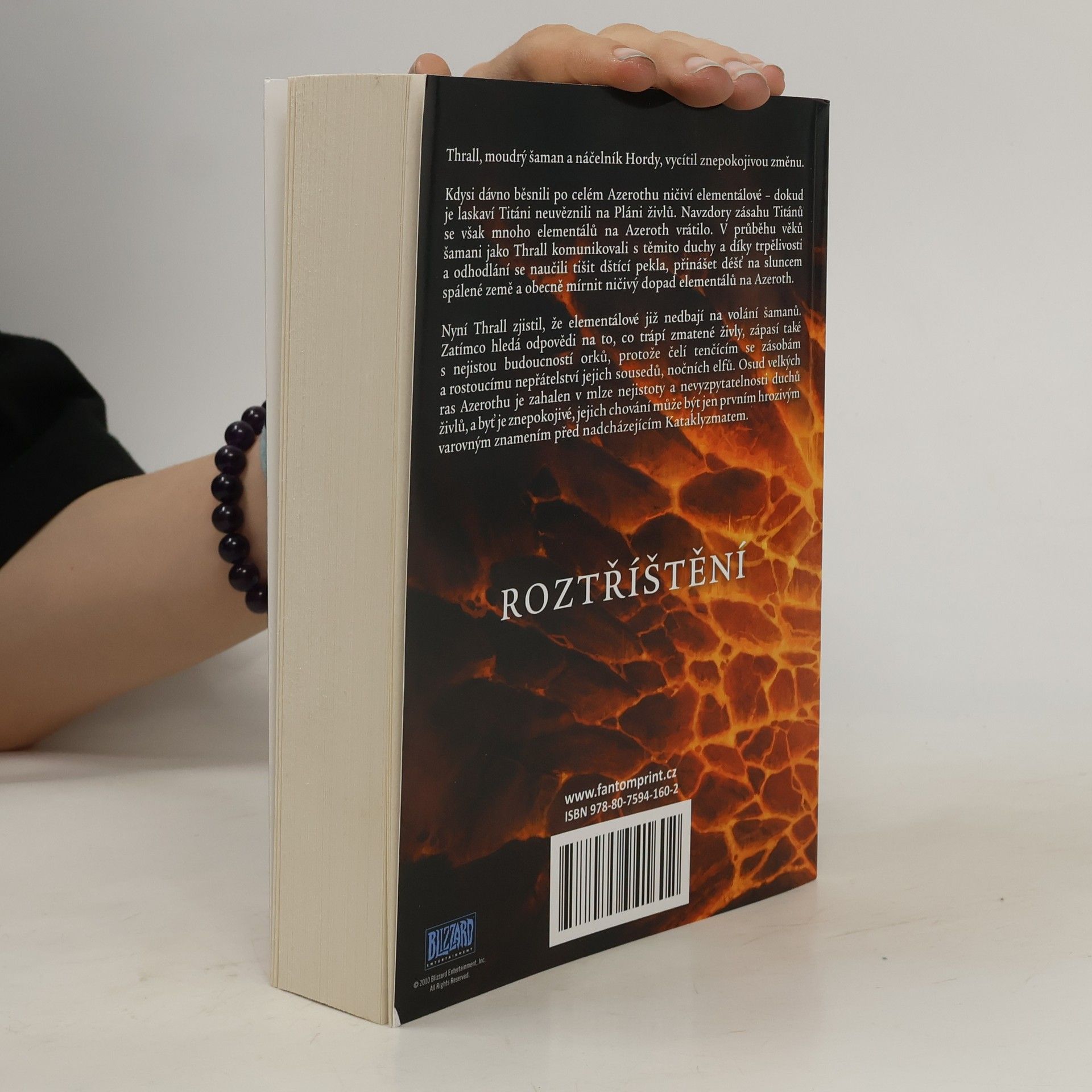 Christie Golden World of WarCraft. Roztříštění