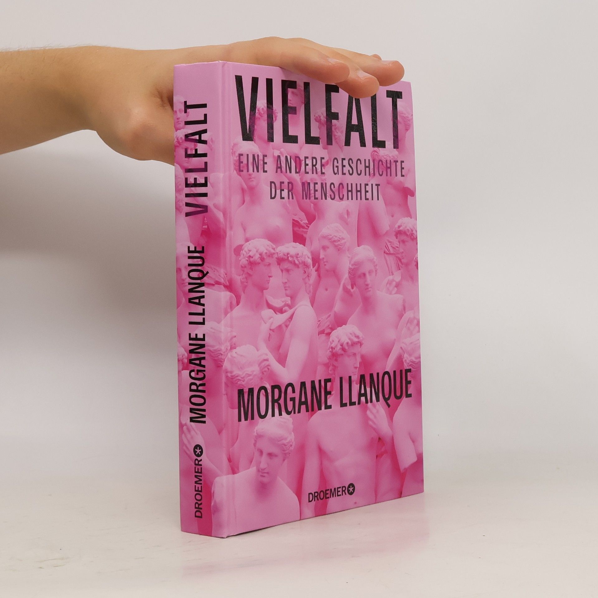 Morgane Llanque Vielfalt